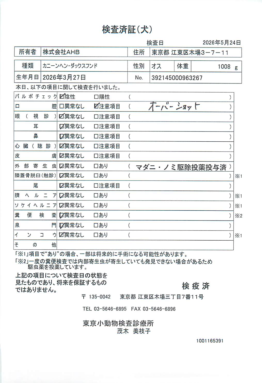 カニーンヘン・ダックスフンド