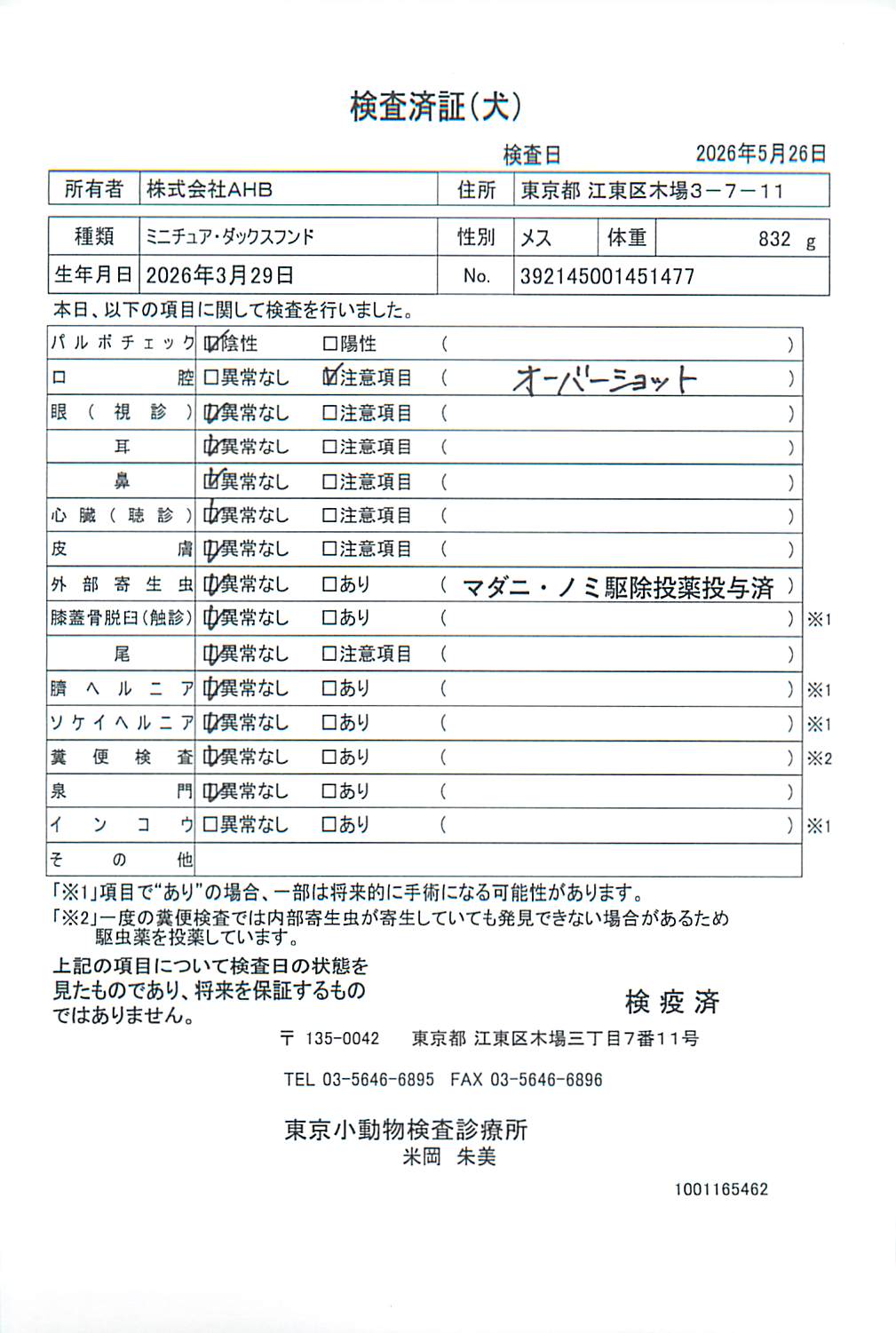 ミニチュア・ダックスフンド