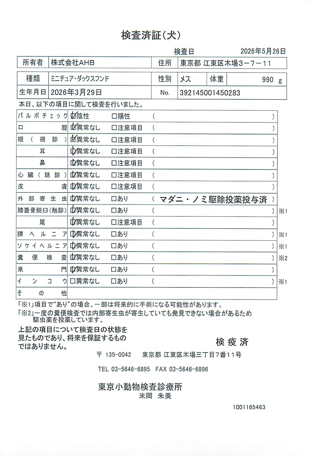 ミニチュア・ダックスフンド