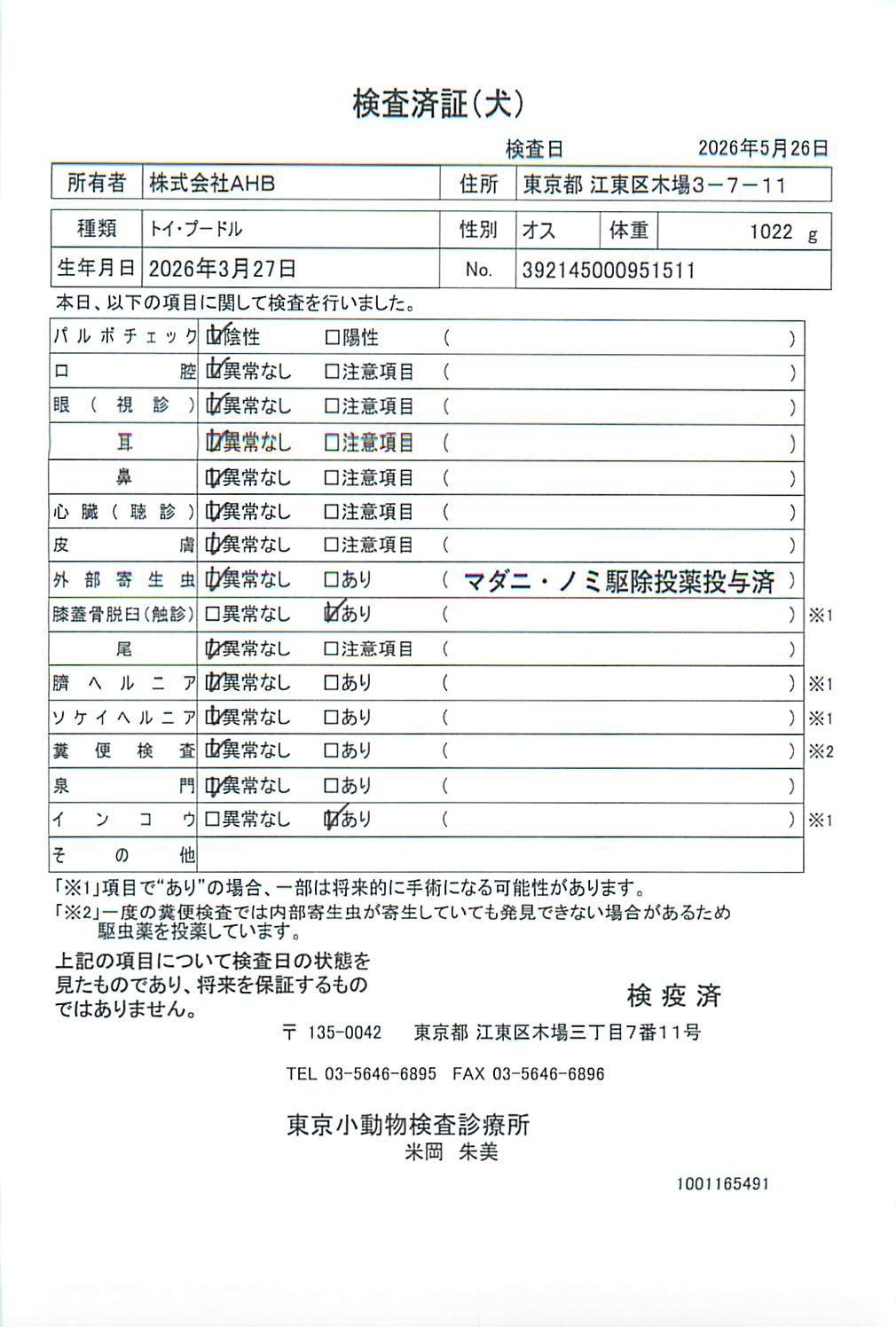 トイ・プードル