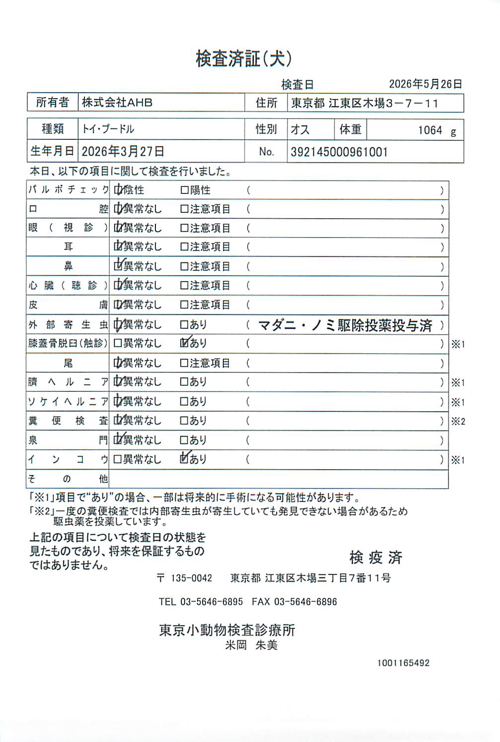 トイ・プードル