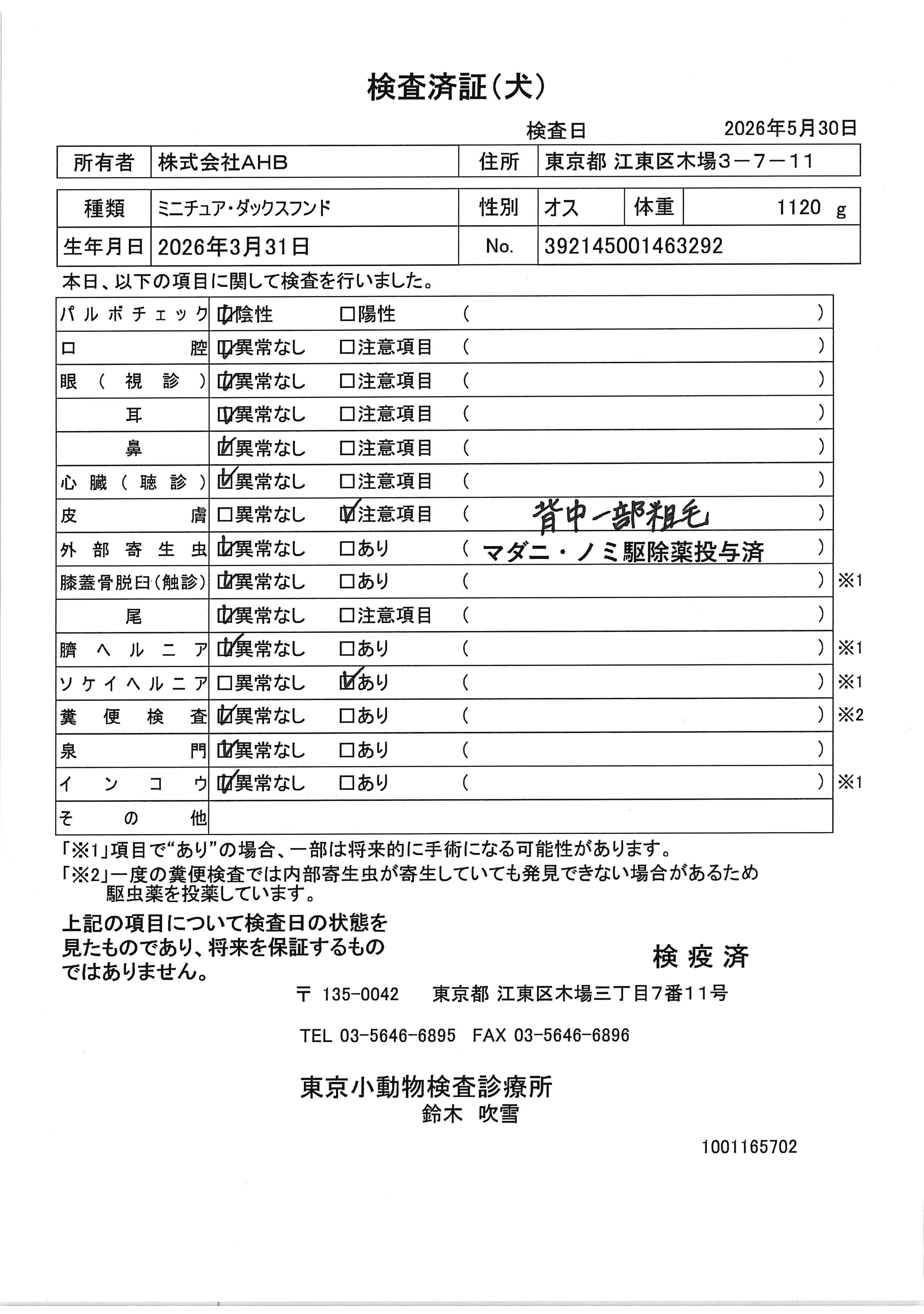 ミニチュア・ダックスフンド