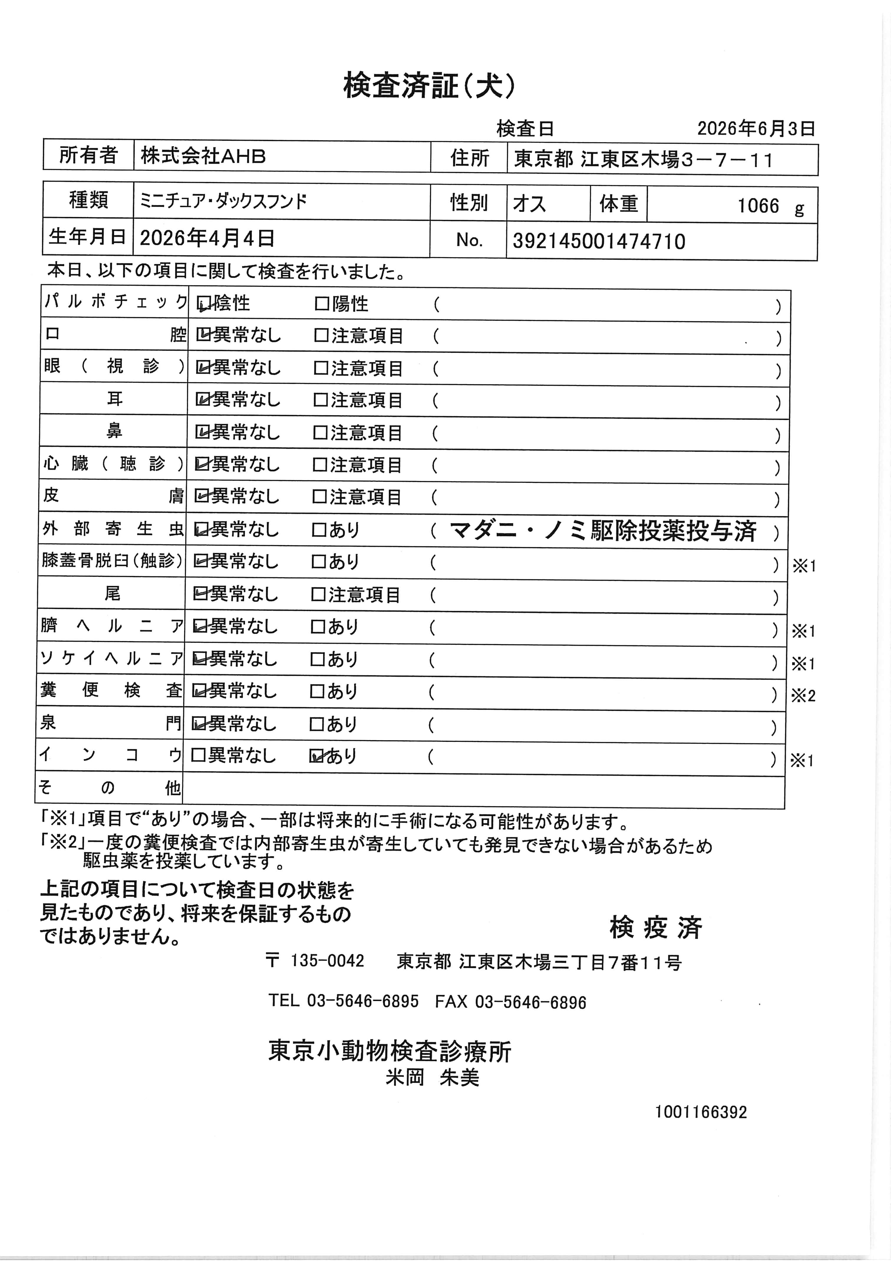 ミニチュア・ダックスフンド