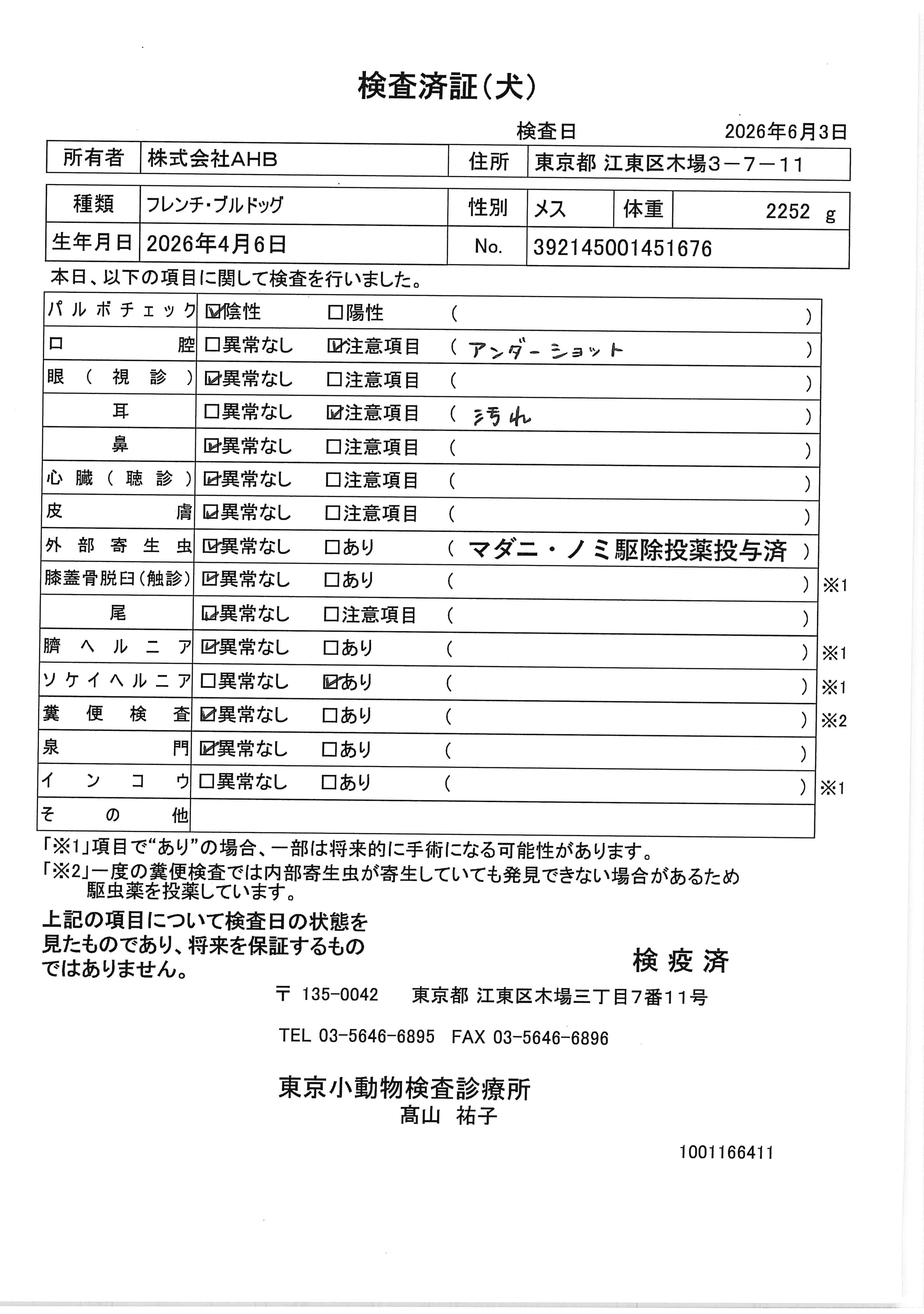 フレンチ・ブルドッグ