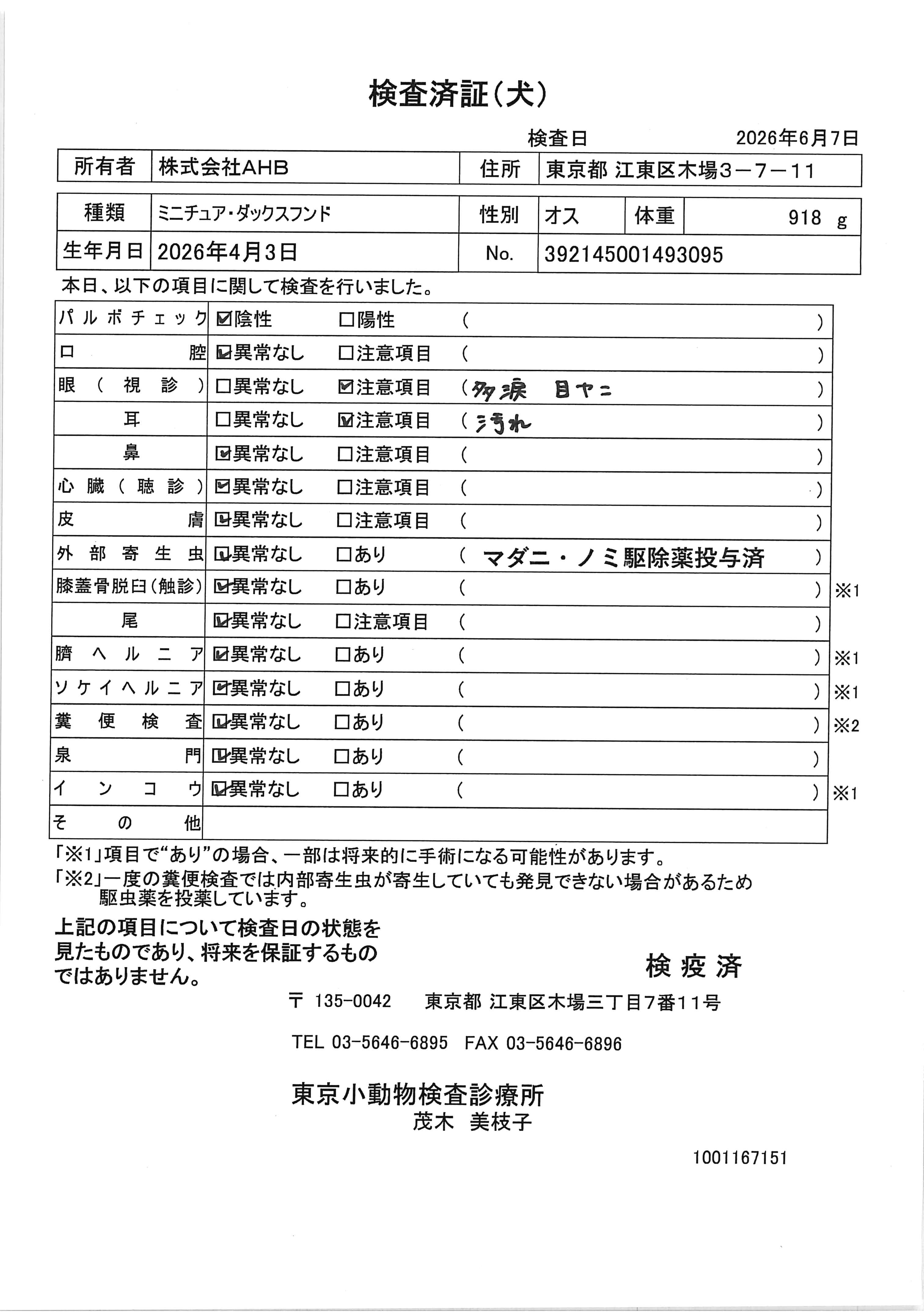 ミニチュア・ダックスフンド