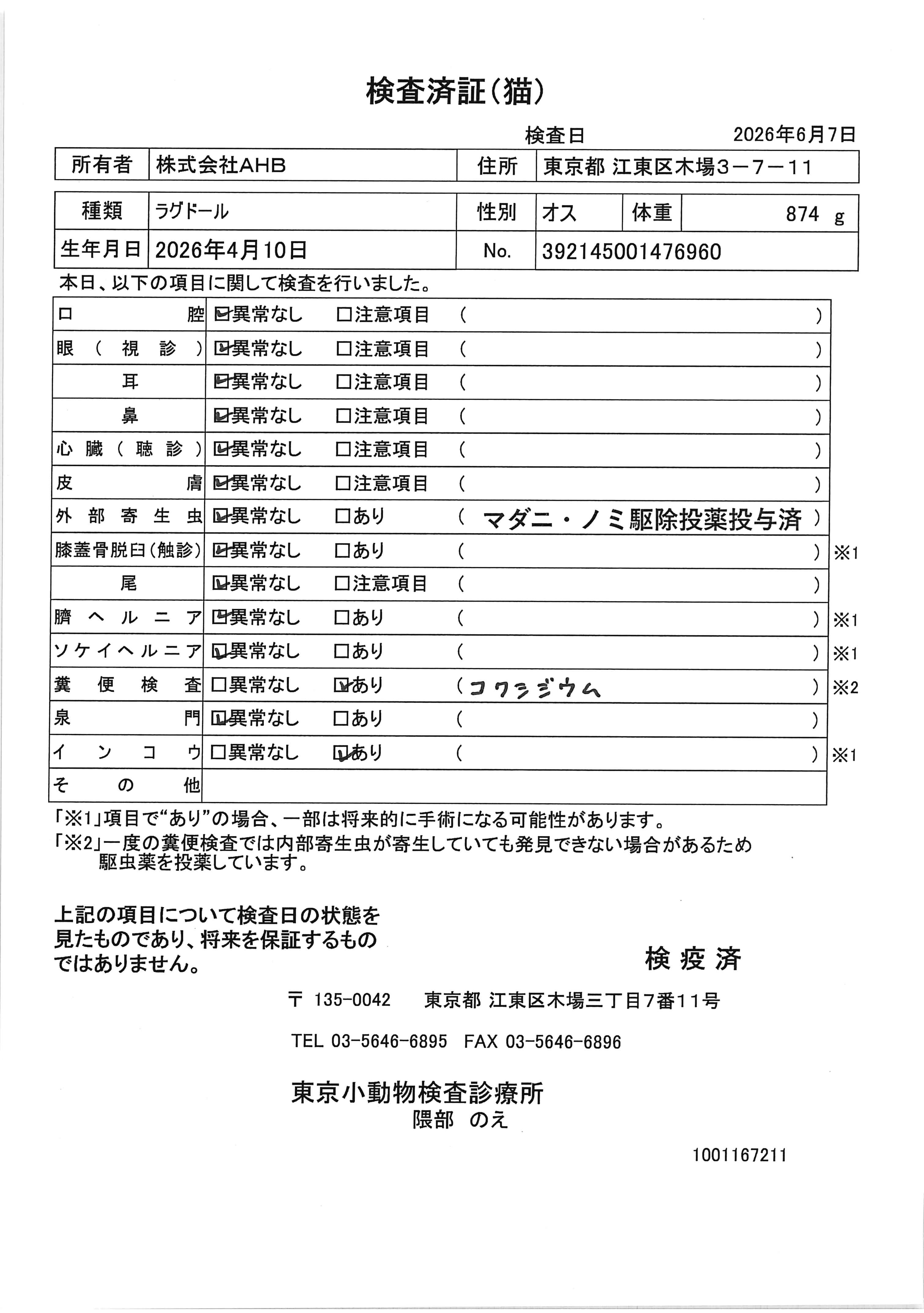 ラグドール