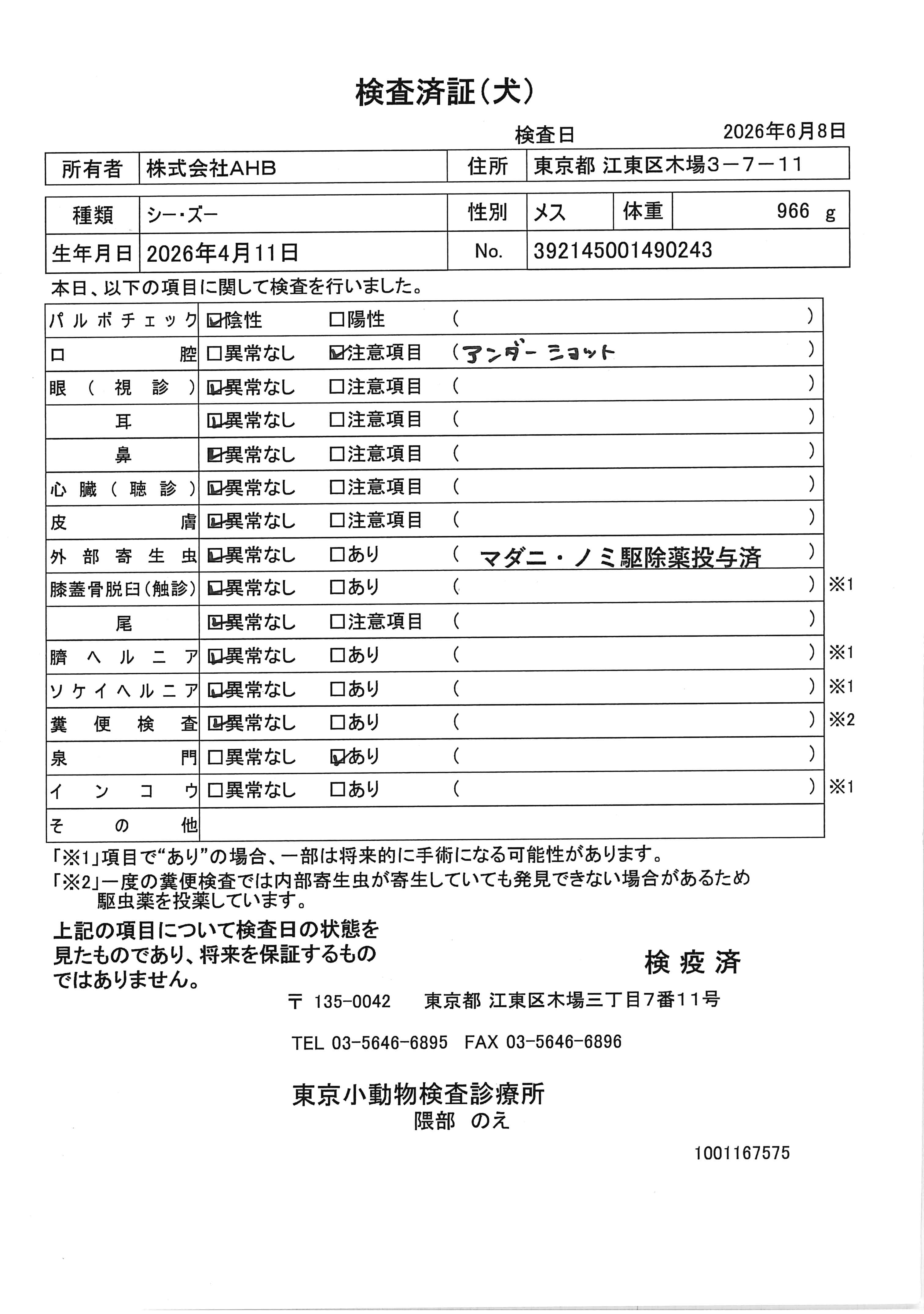 シー・ズー