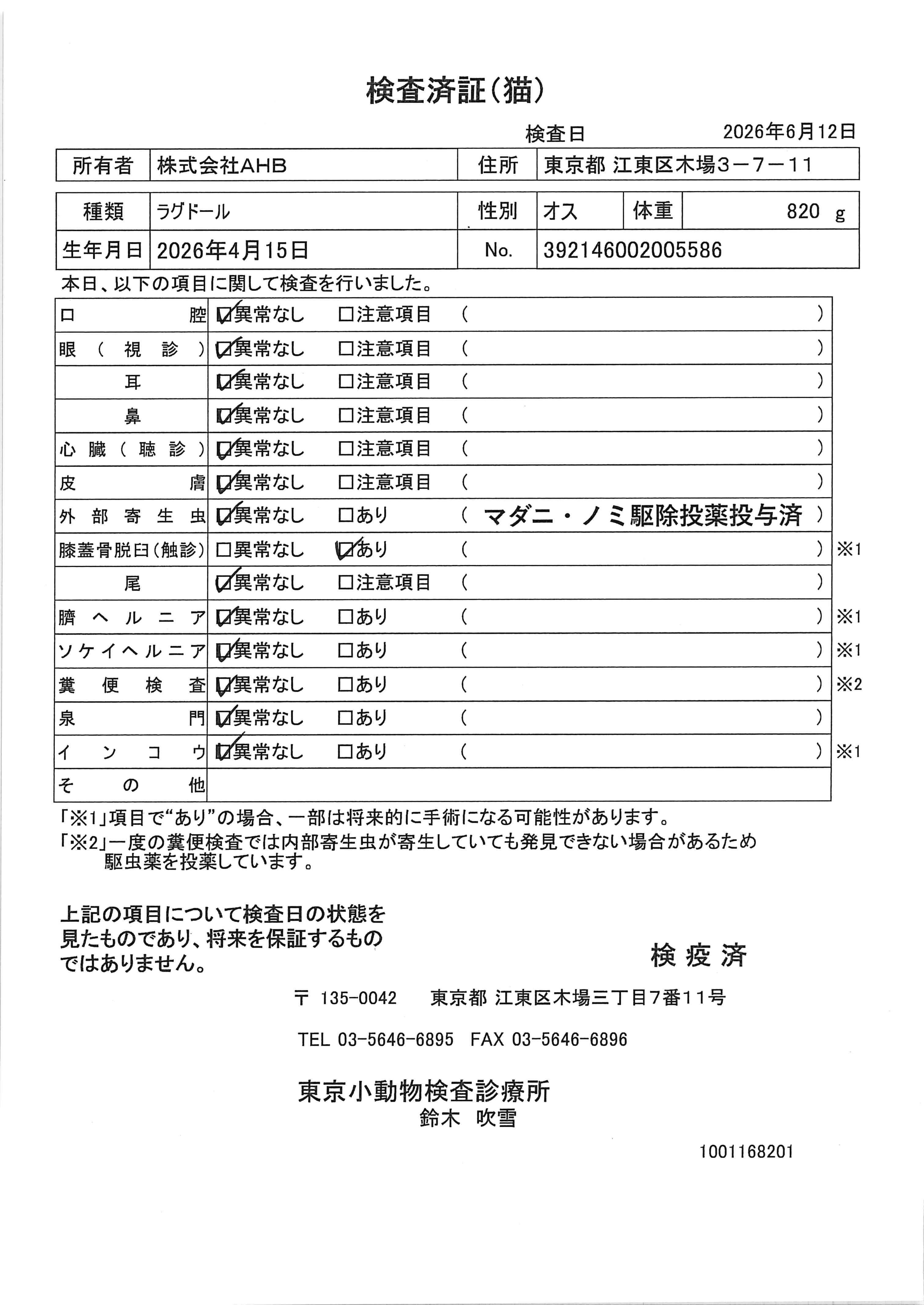 ラグドール