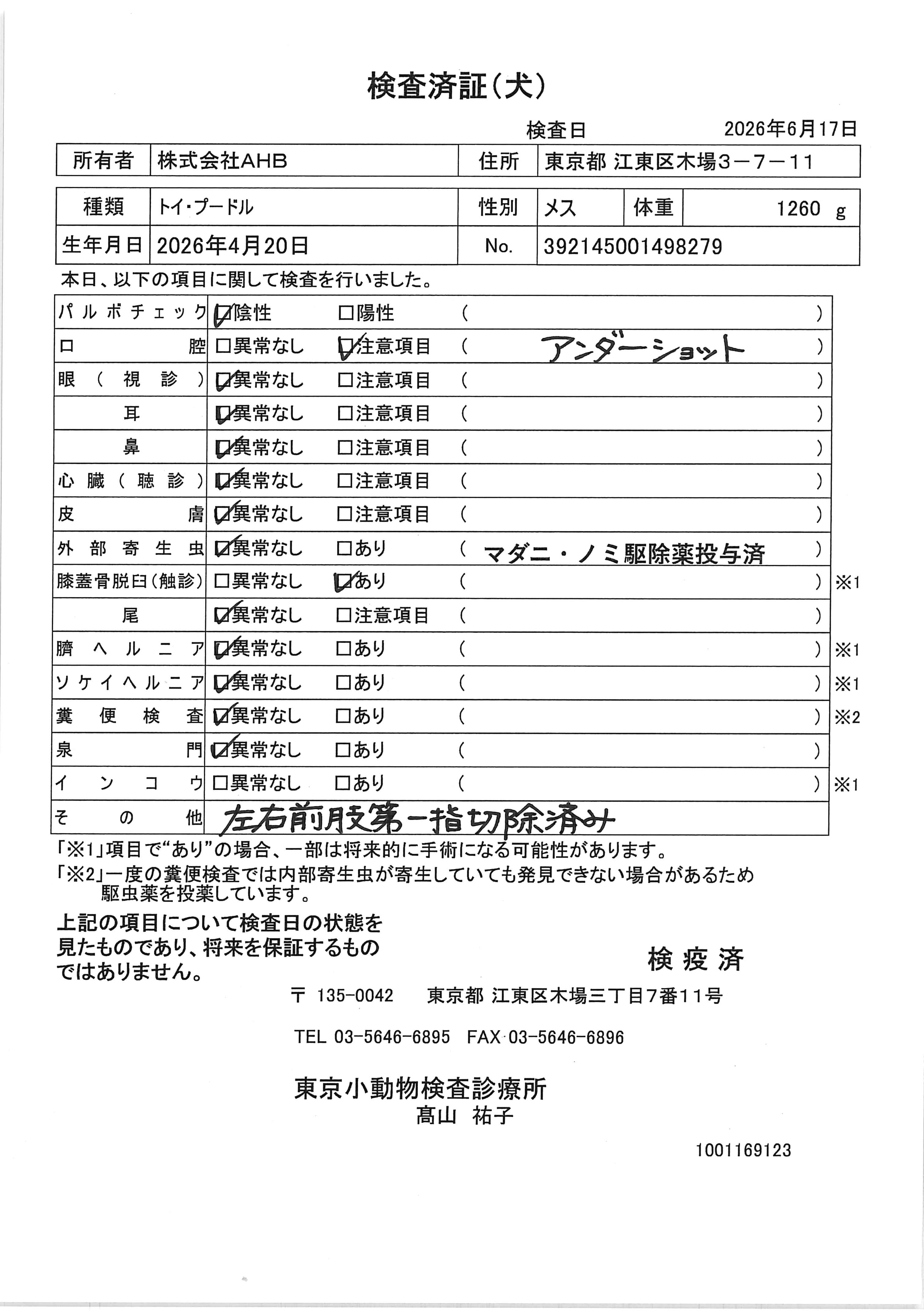 トイ・プードル