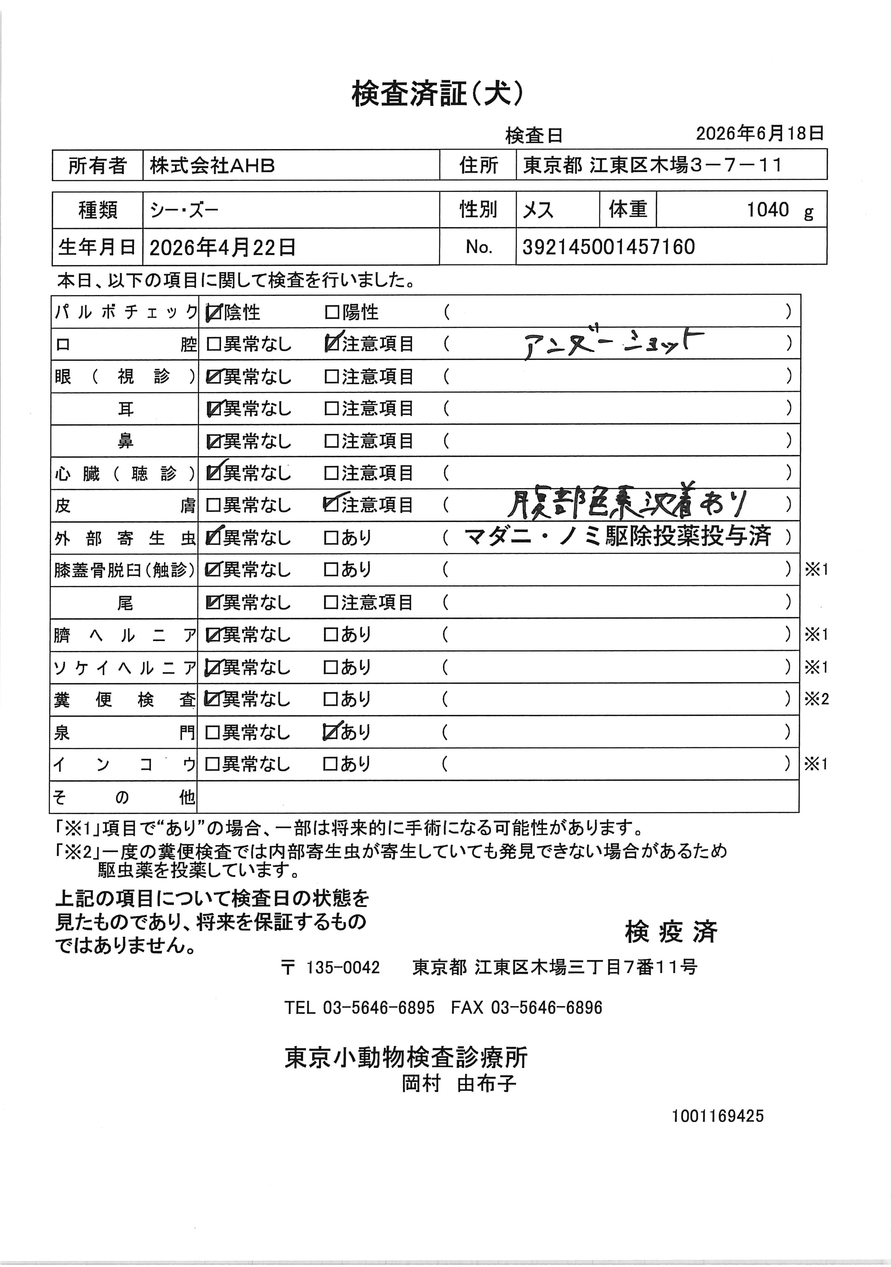 シー・ズー