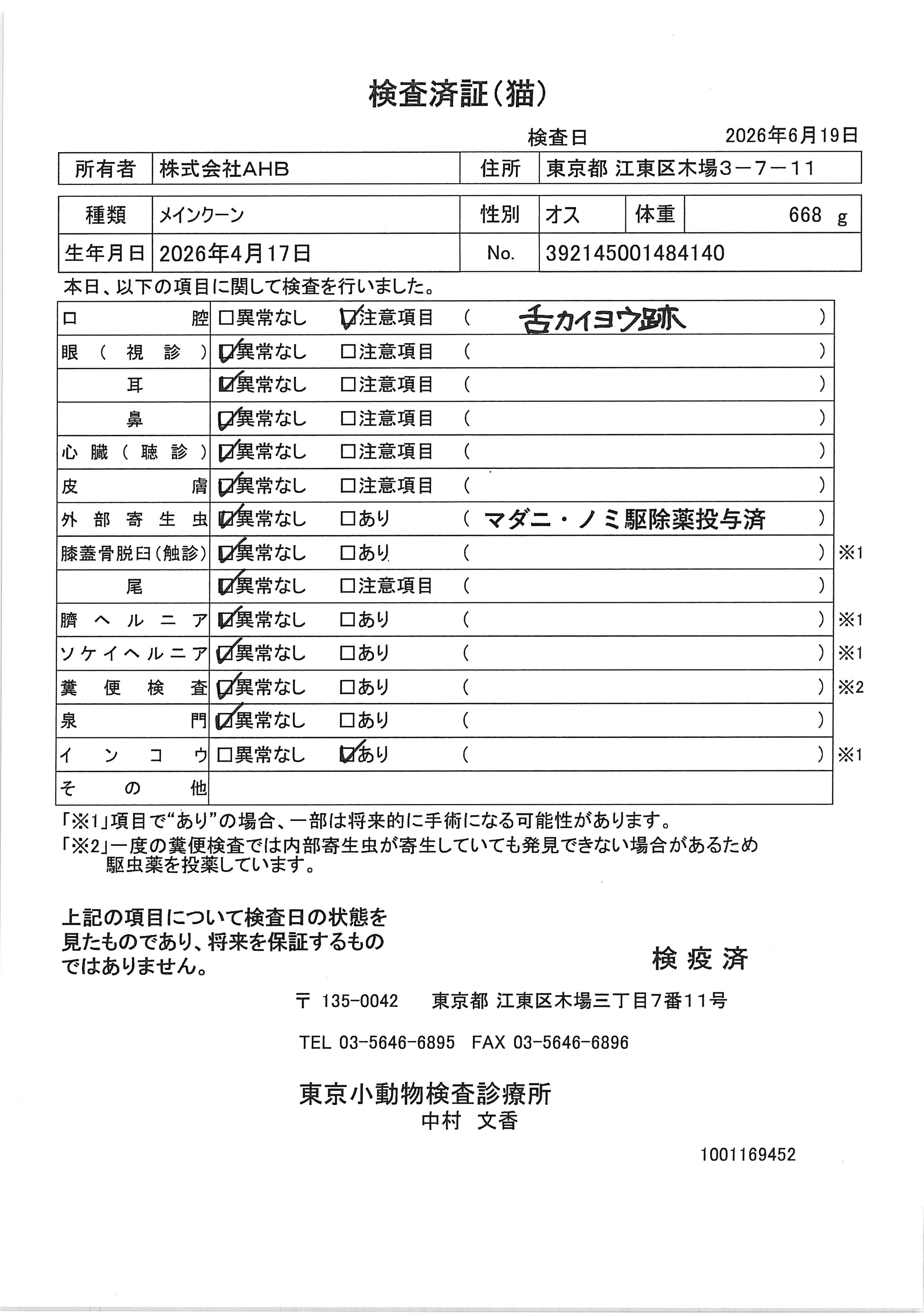 メインクーン