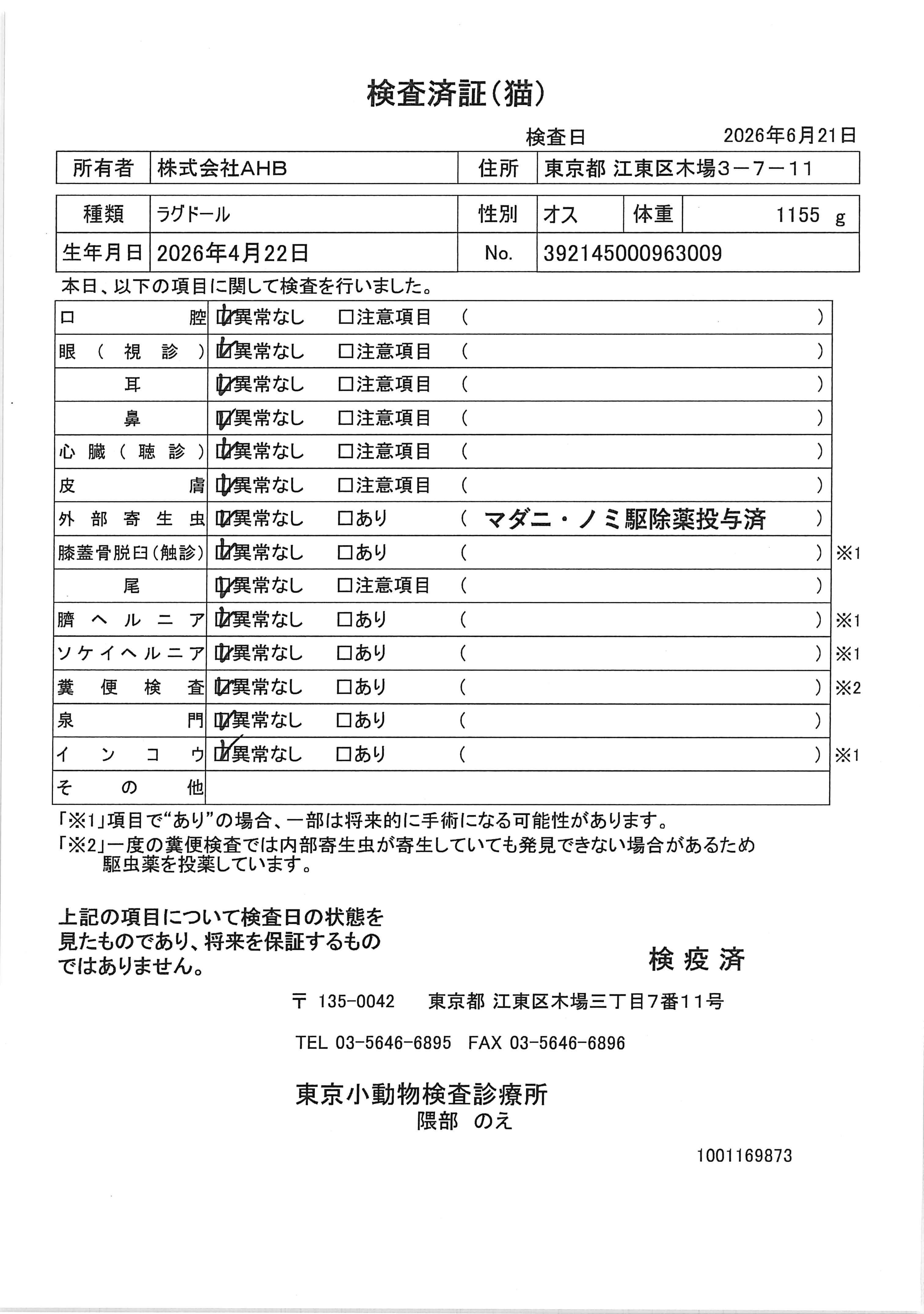 ラグドール