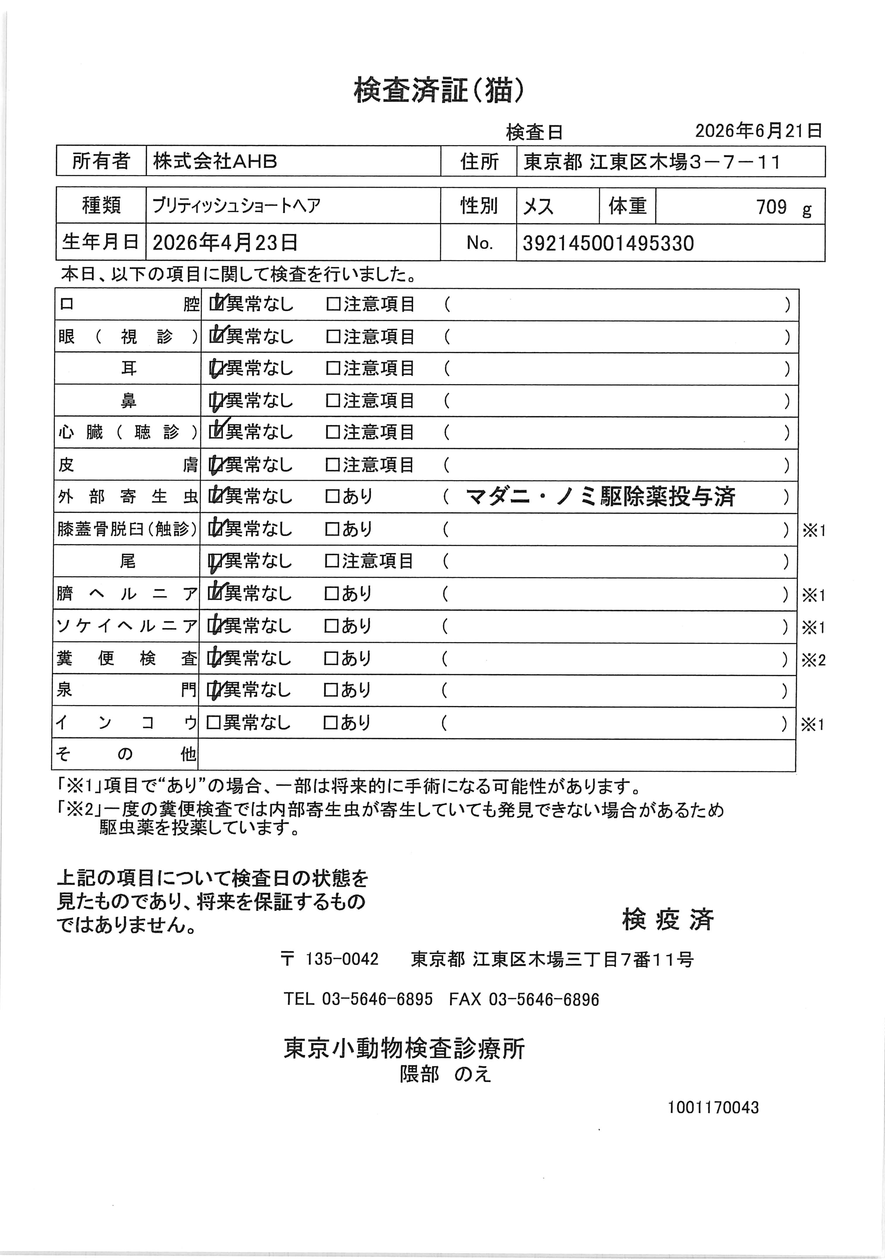 ブリティッシュショートヘア