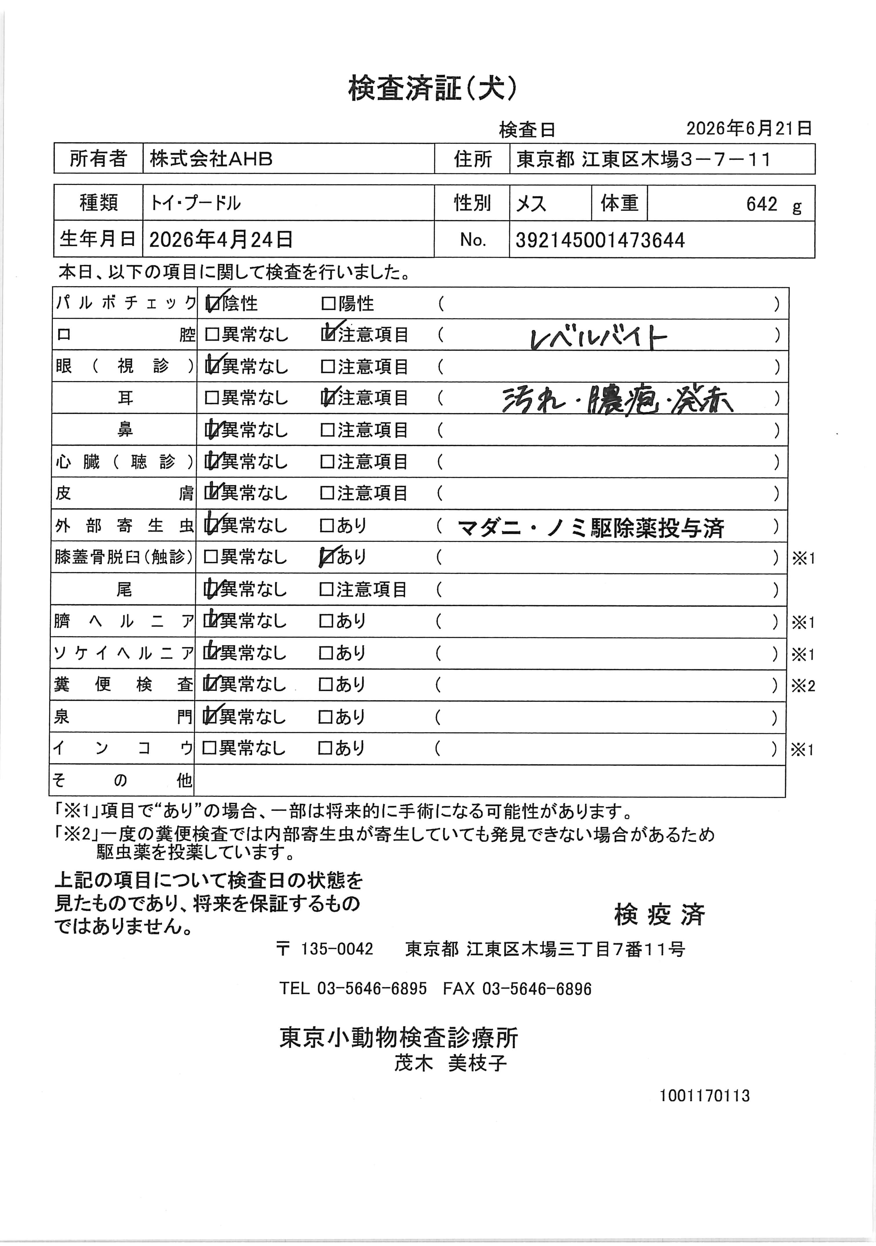 トイ・プードル