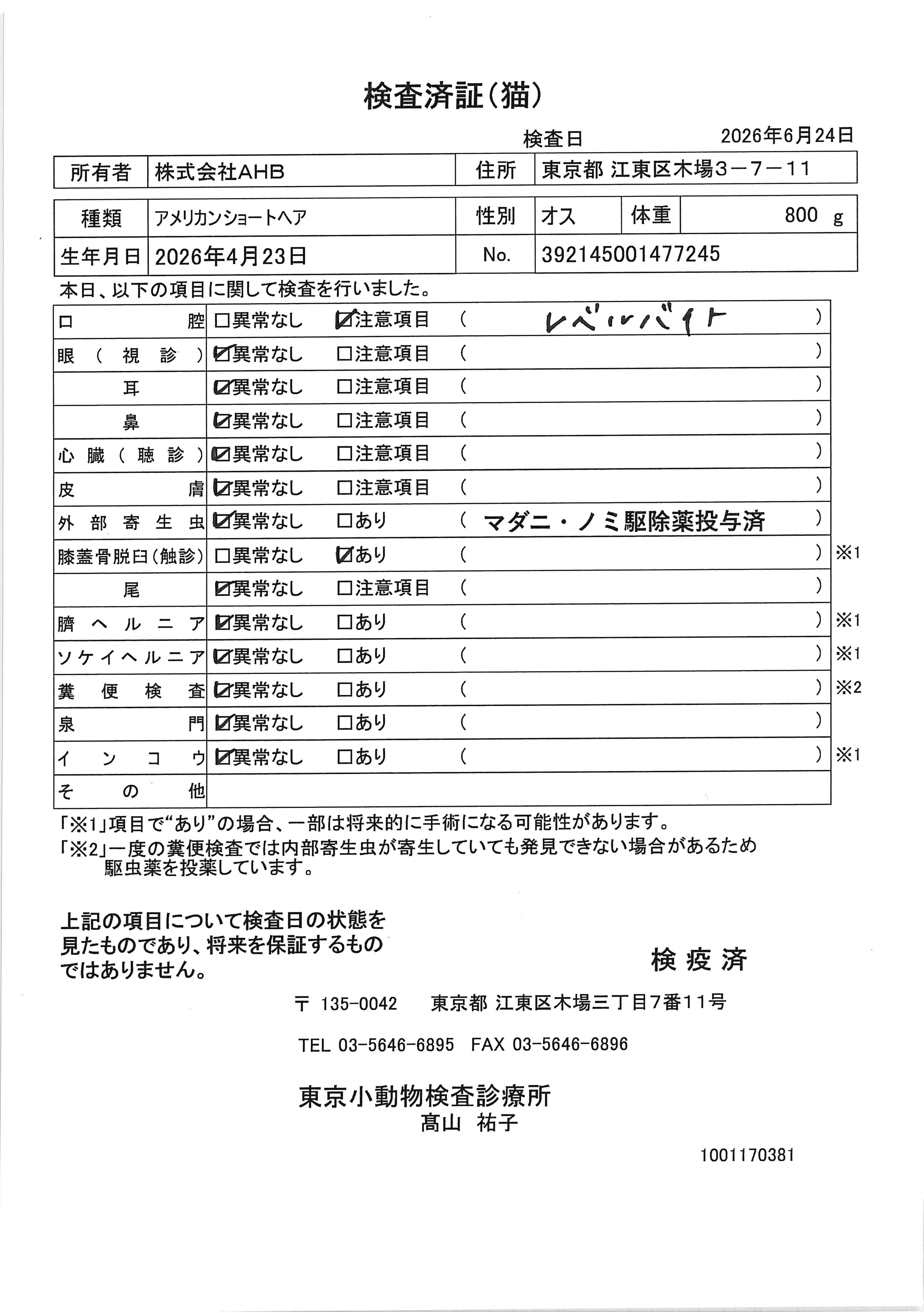 アメリカンショートヘア