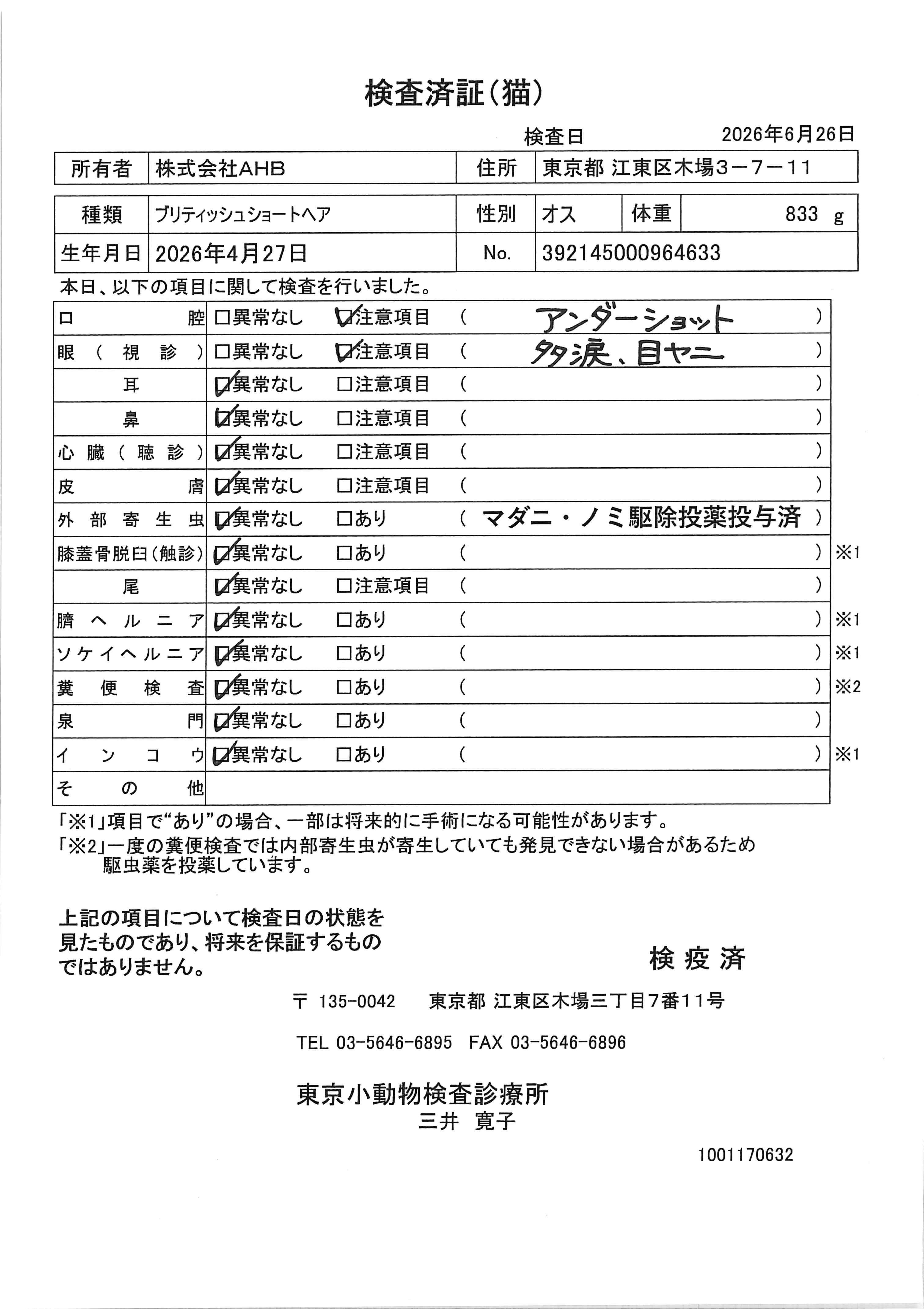 ブリティッシュショートヘア