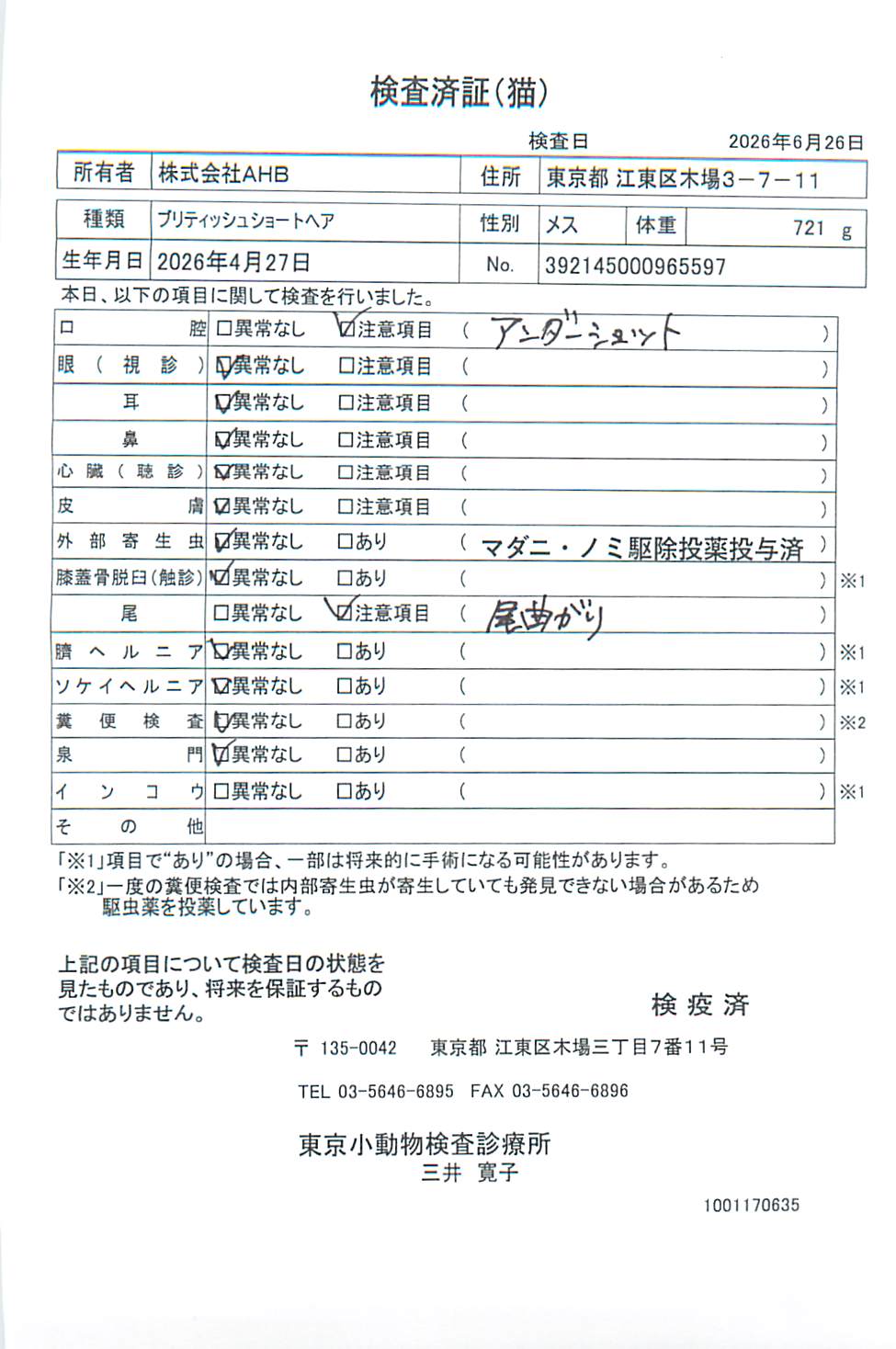ブリティッシュショートヘア