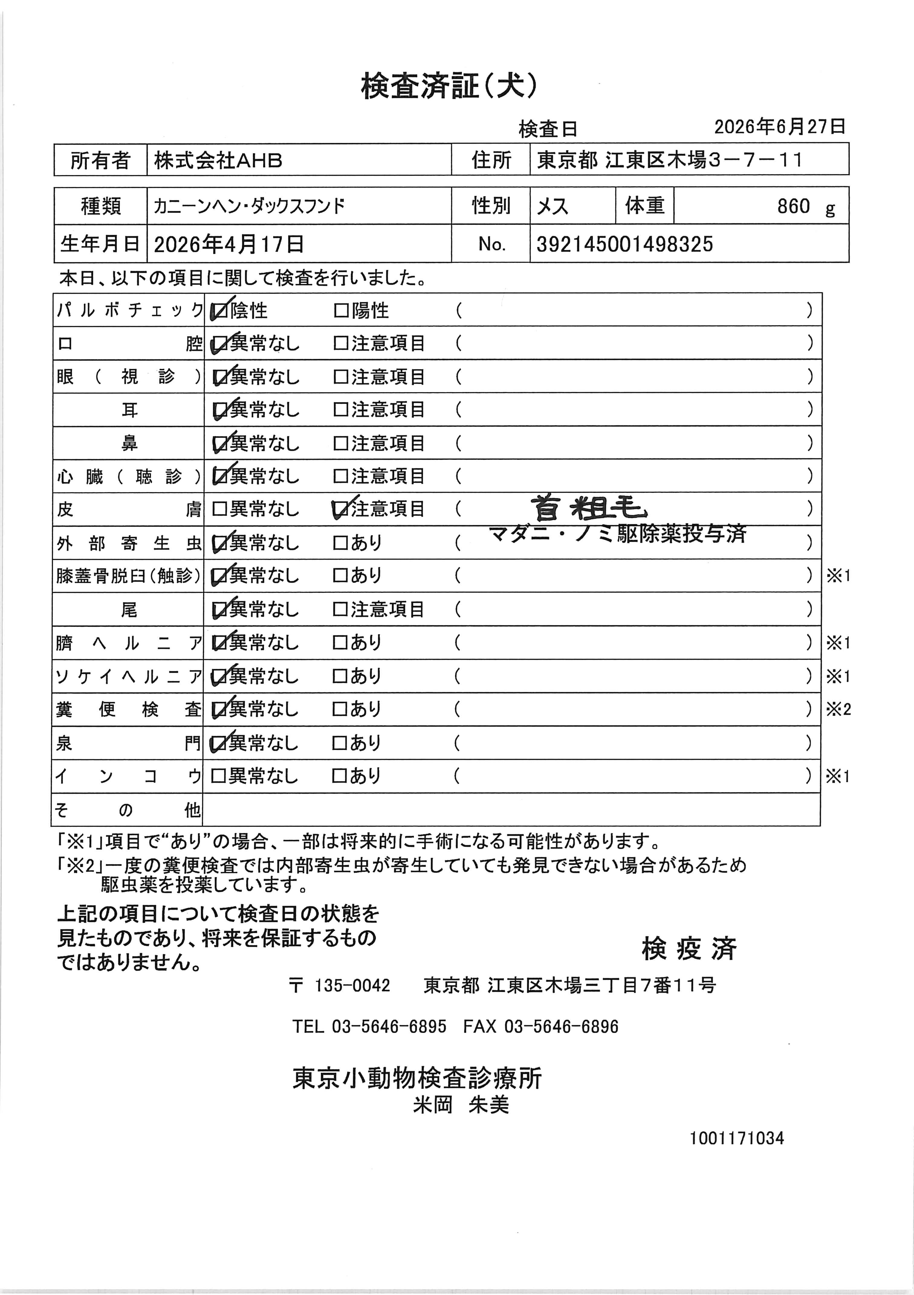 カニーンヘン・ダックスフンド