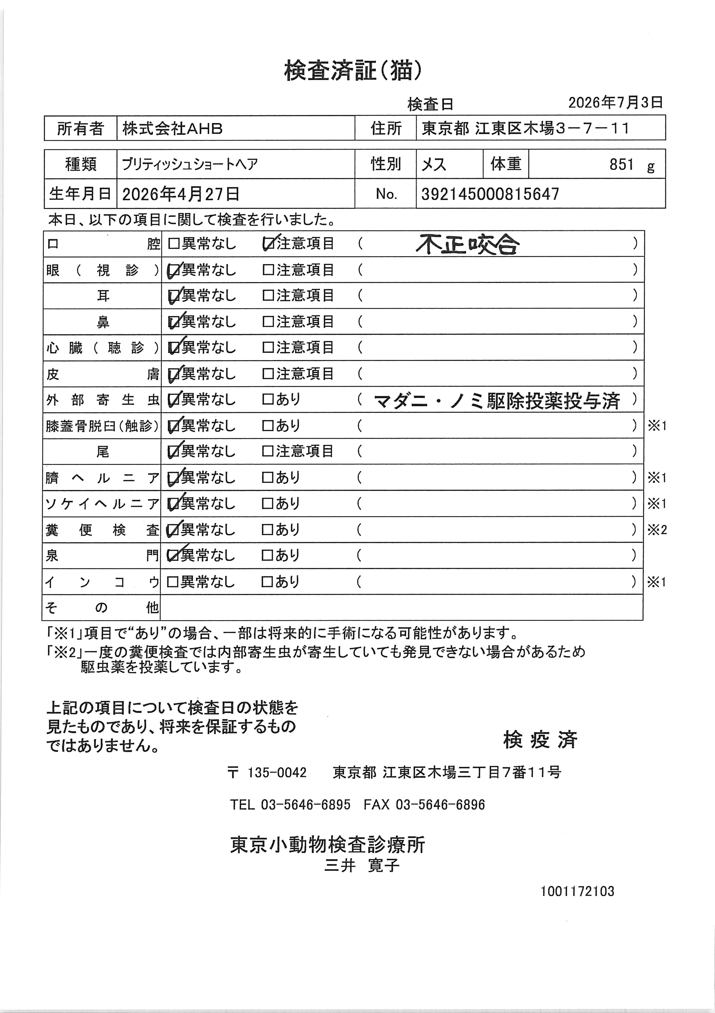 ブリティッシュショートヘア