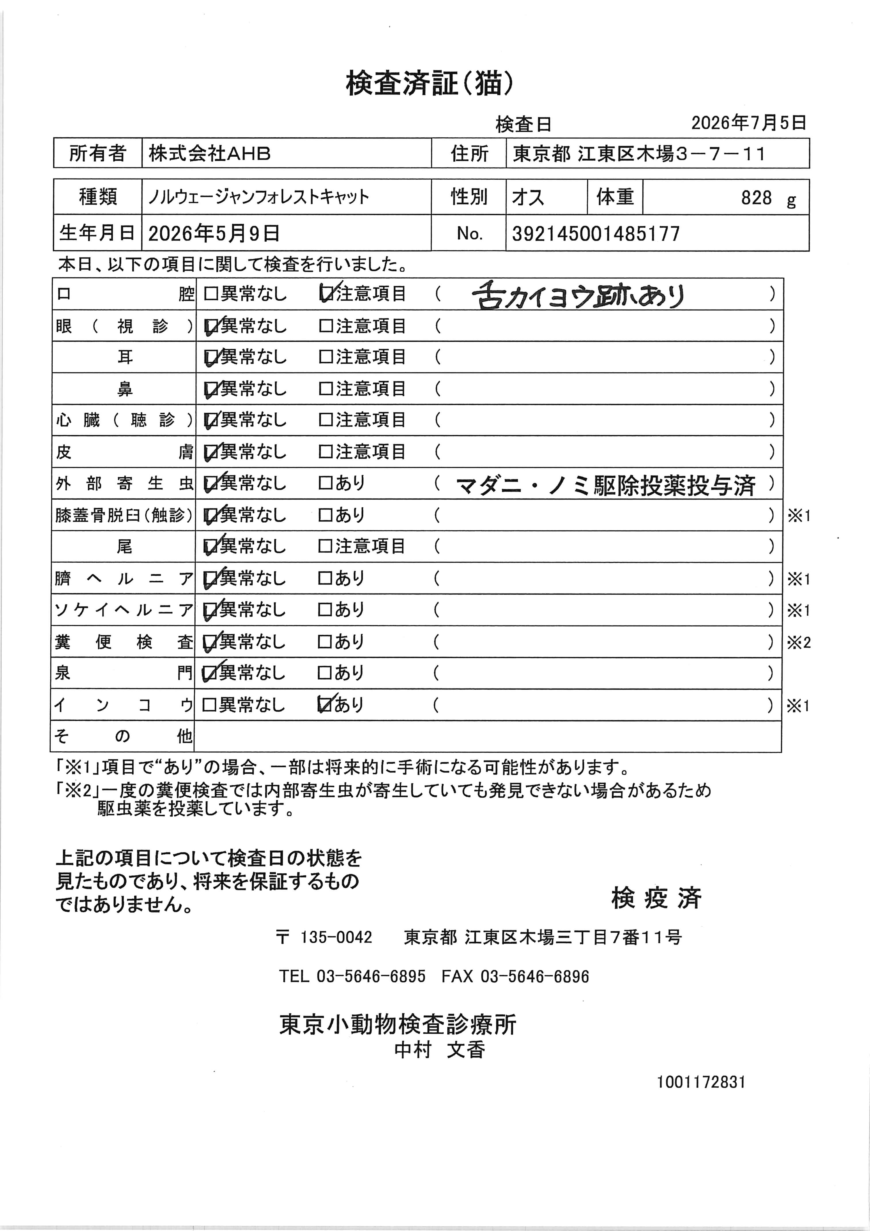 ノルウェージャンフォレストキャット