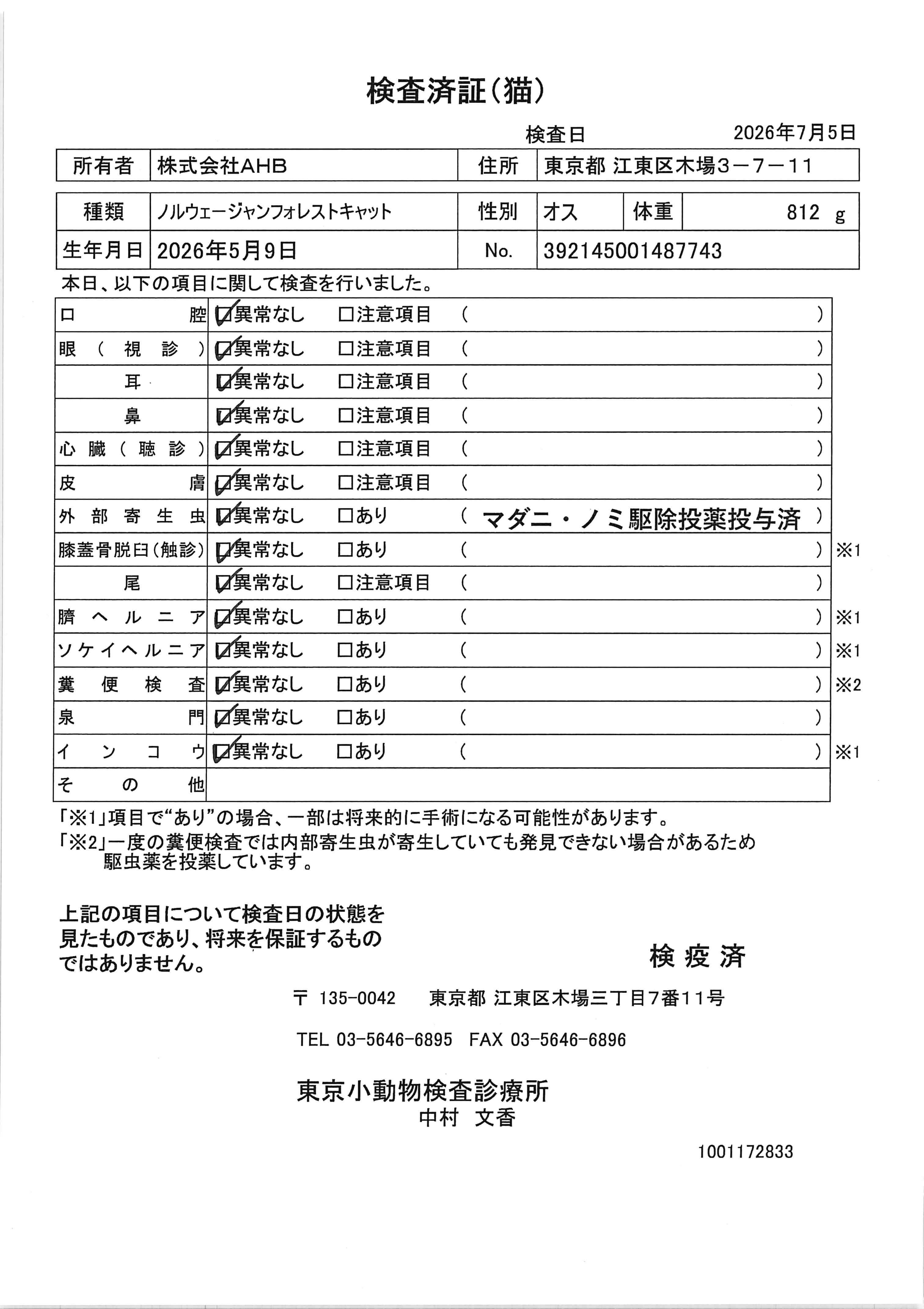 ノルウェージャンフォレストキャット