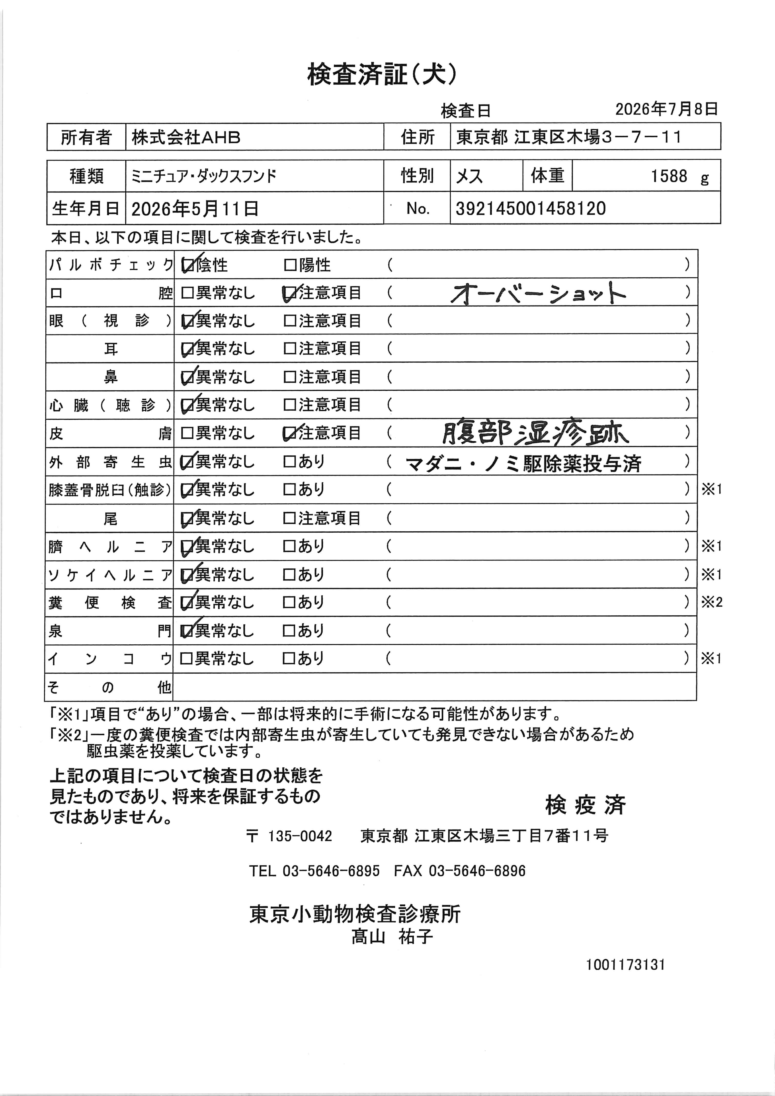 ミニチュア・ダックスフンド