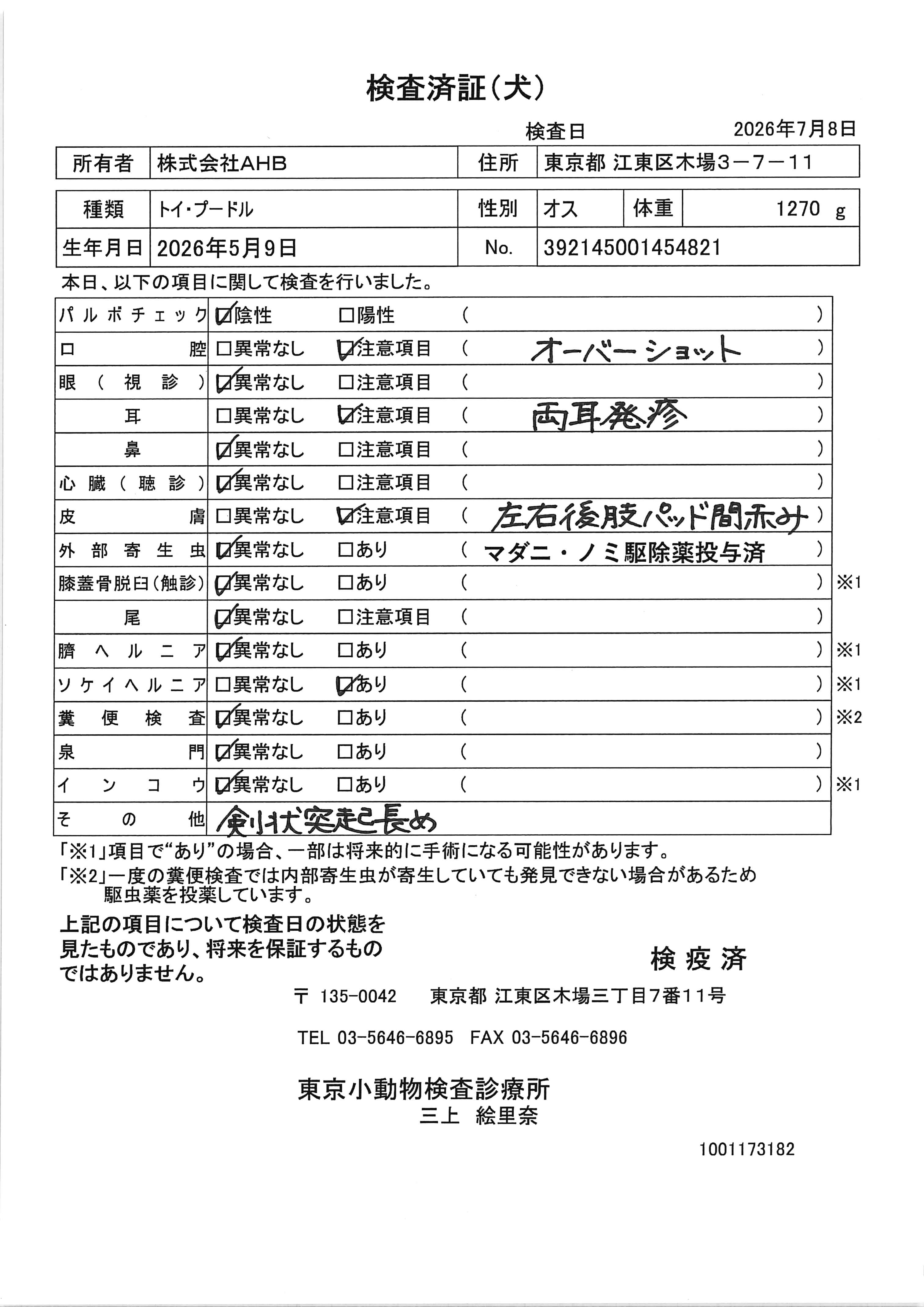 トイ・プードル