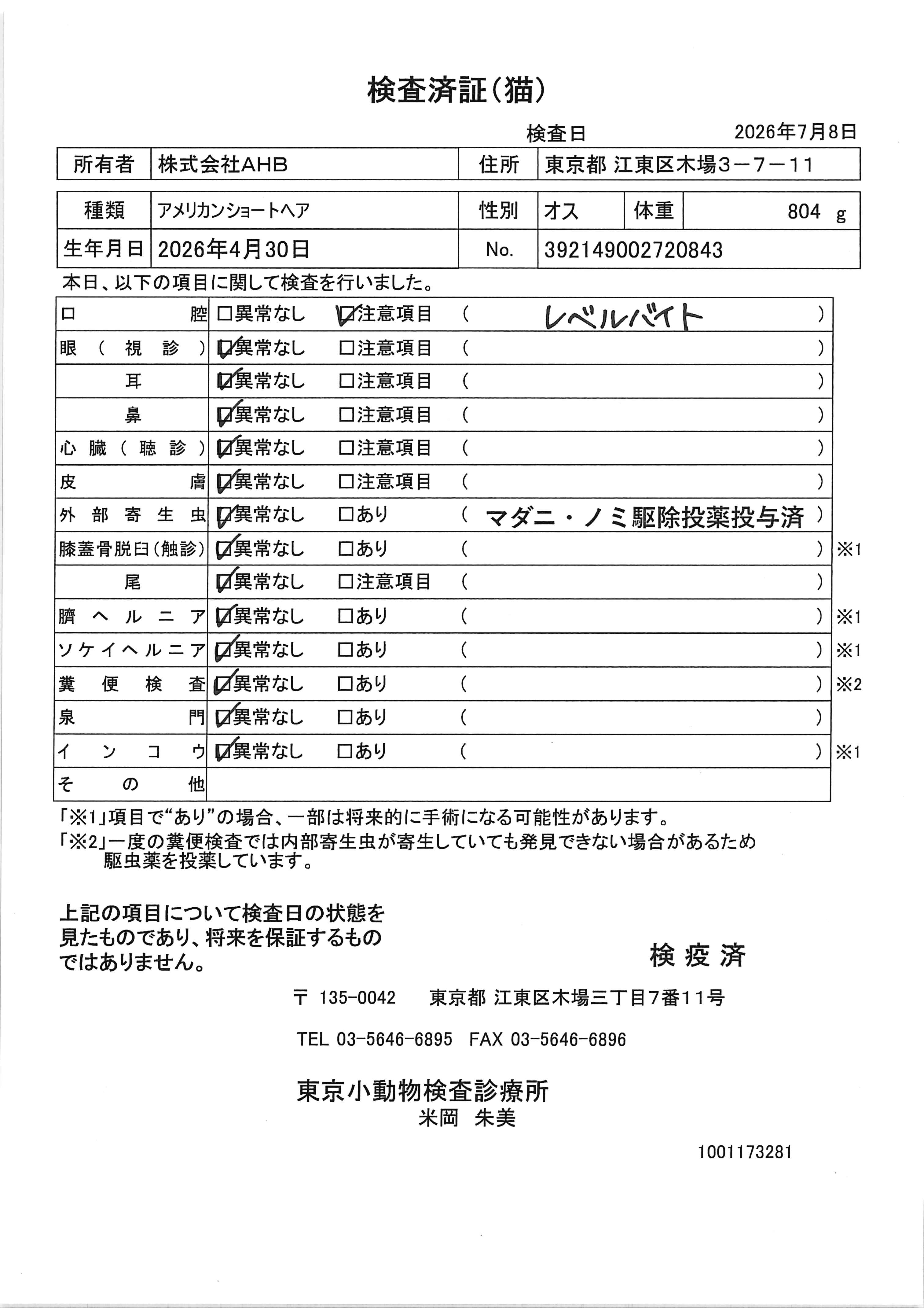 アメリカンショートヘア