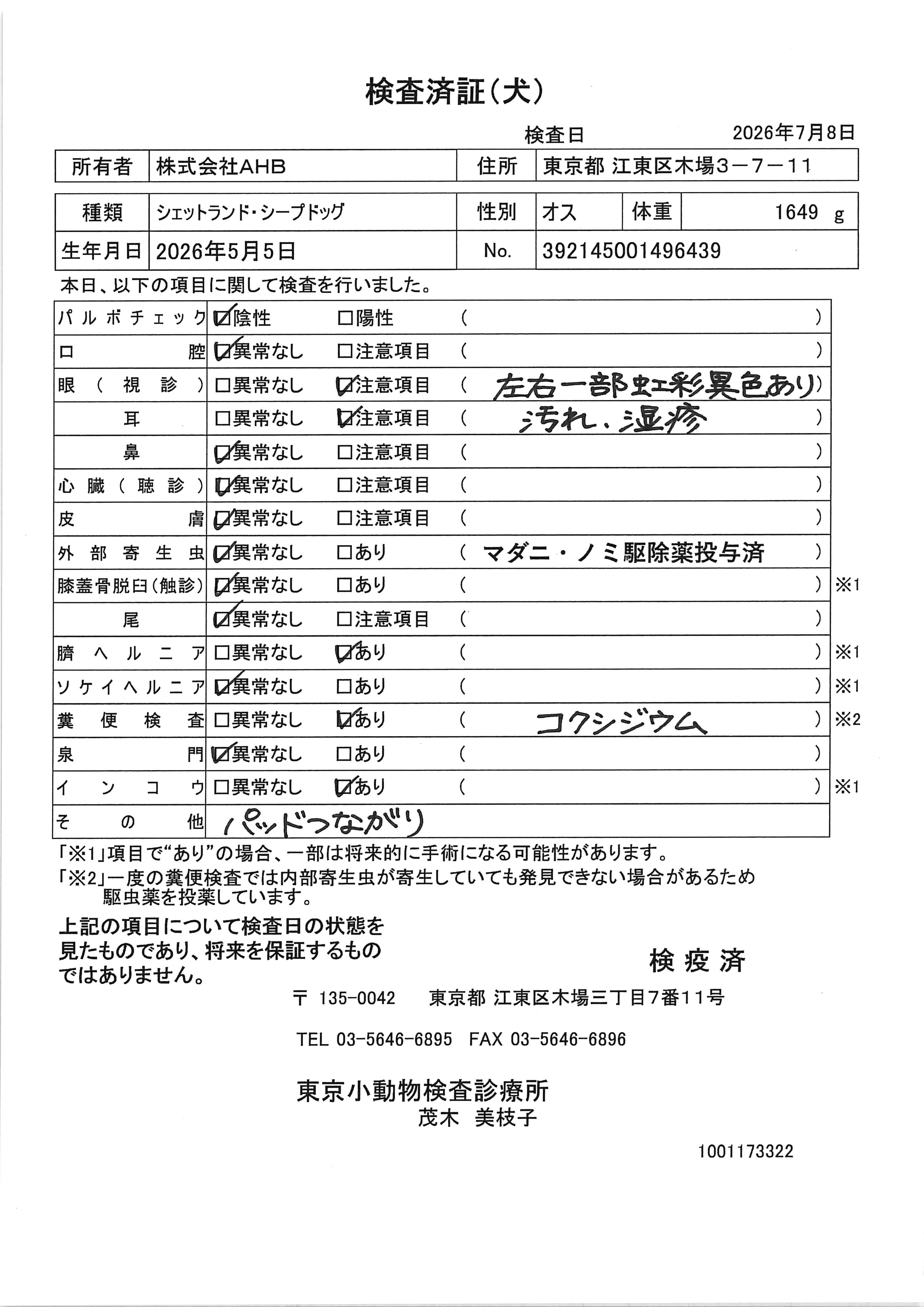 シェットランド・シープドッグ