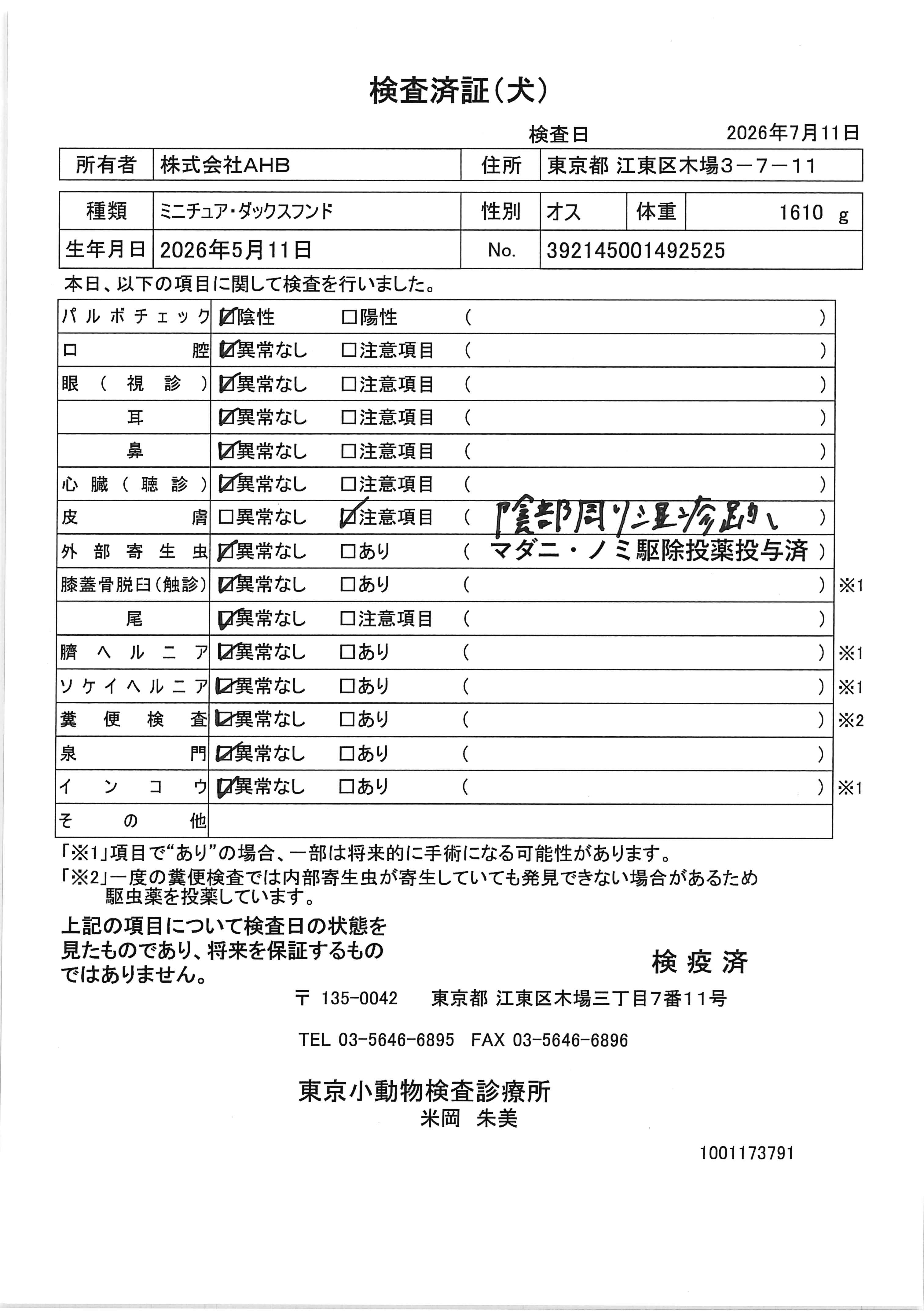 ミニチュア・ダックスフンド
