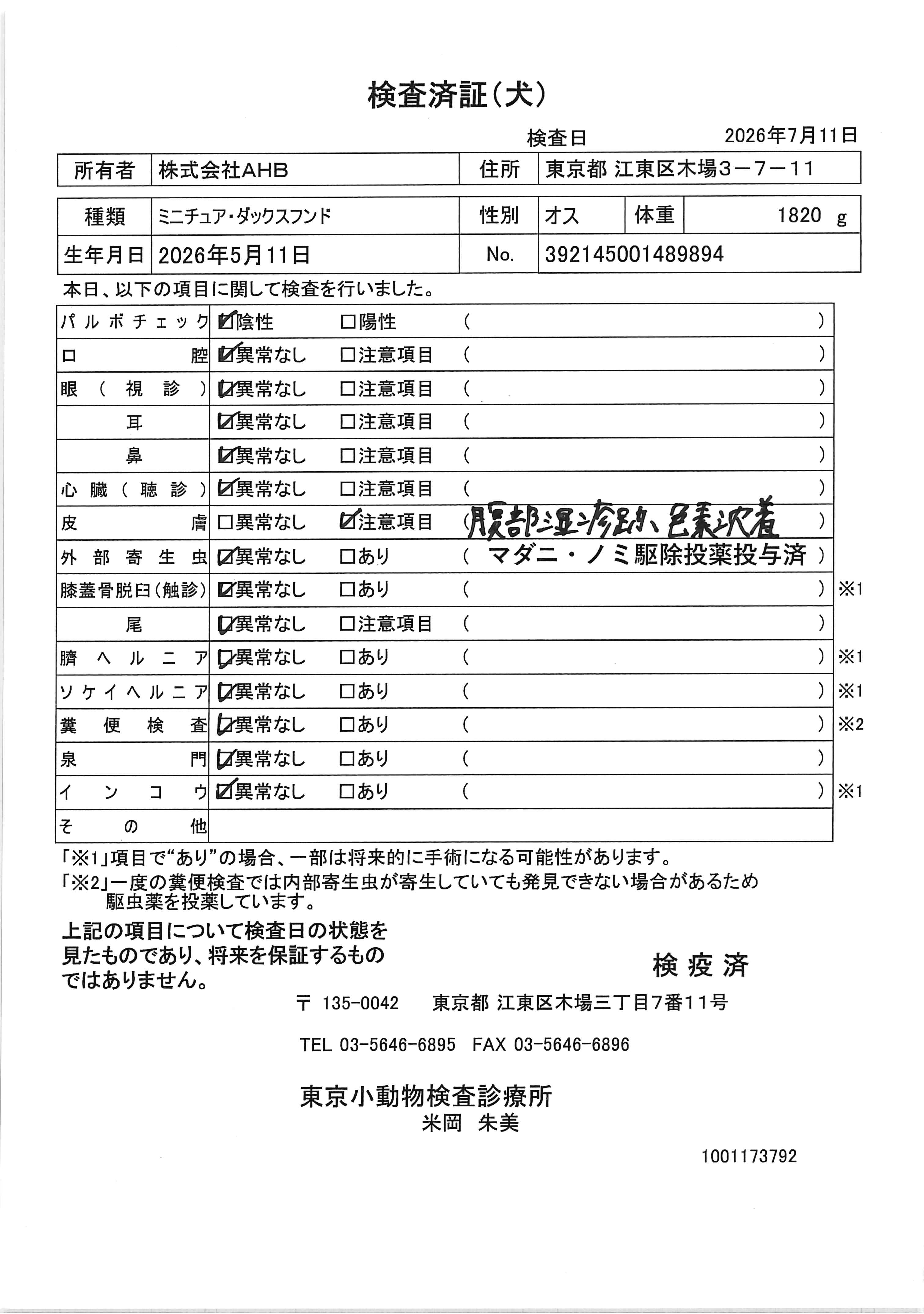 ミニチュア・ダックスフンド