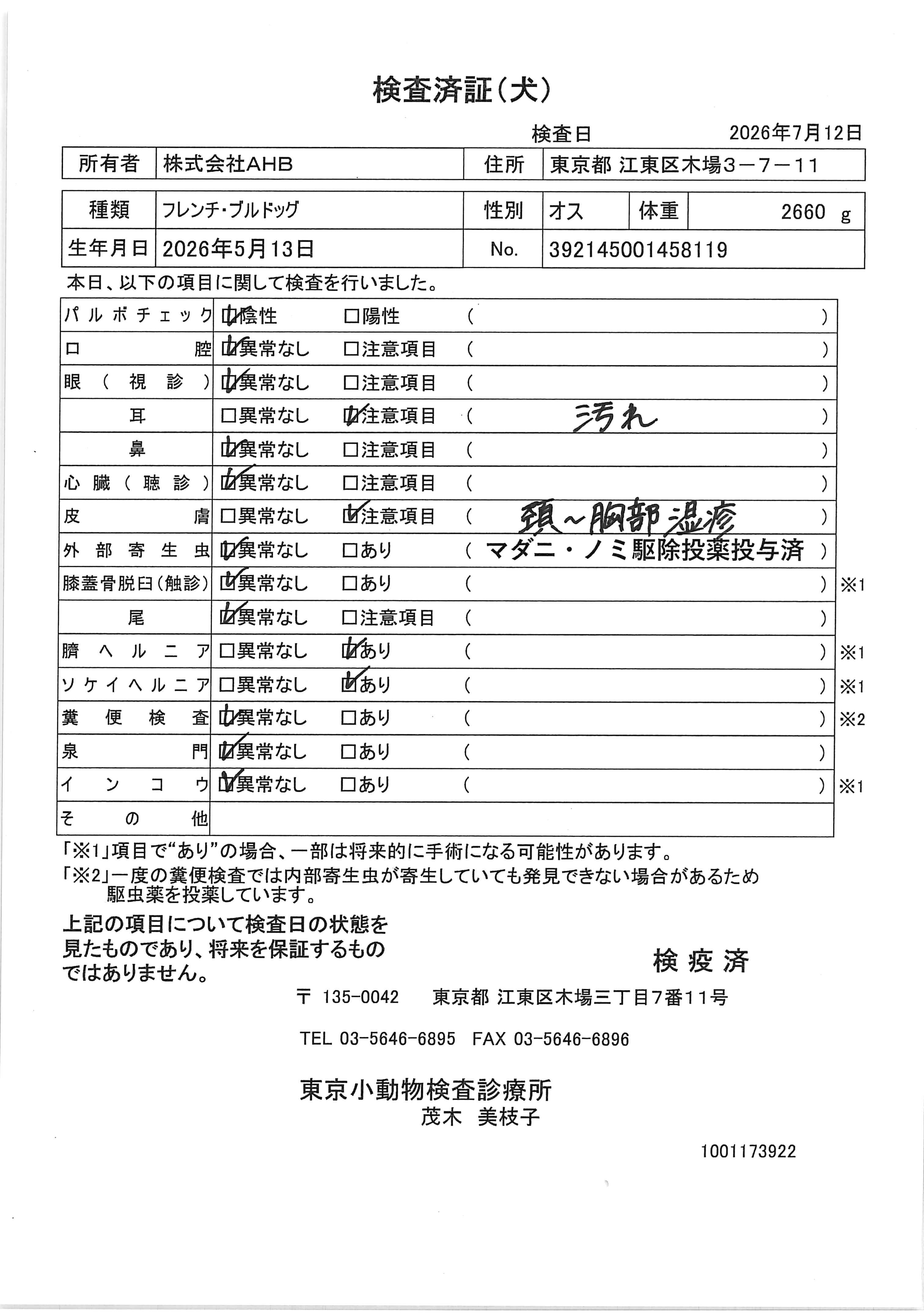 フレンチ・ブルドッグ