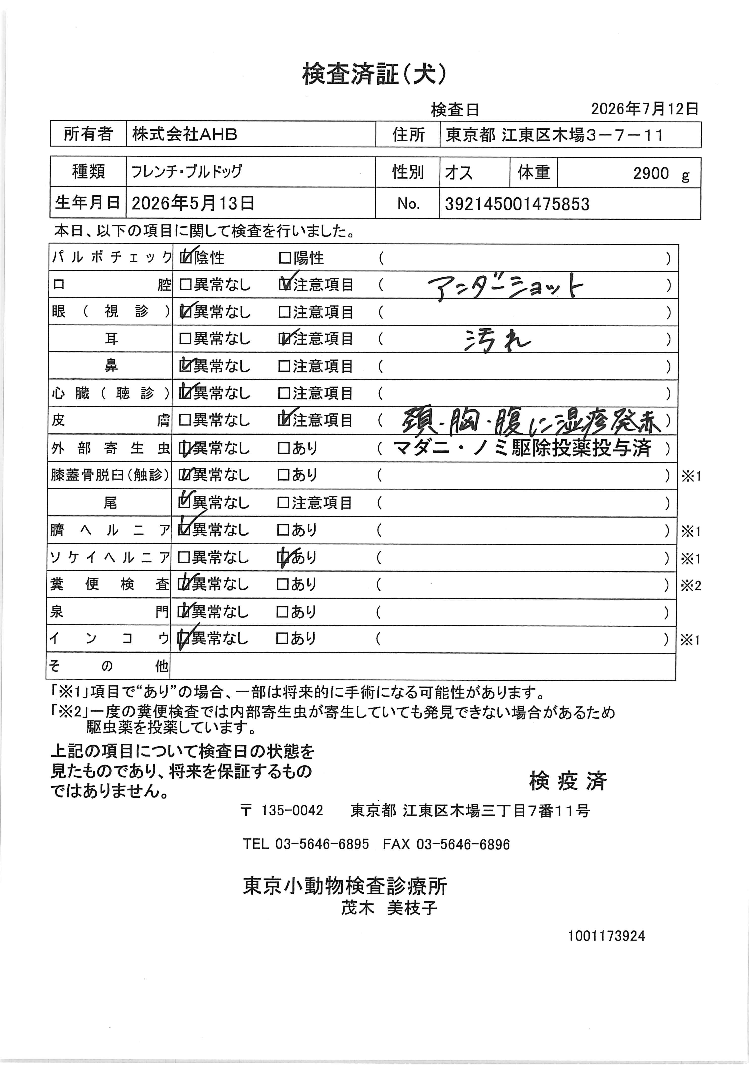 フレンチ・ブルドッグ