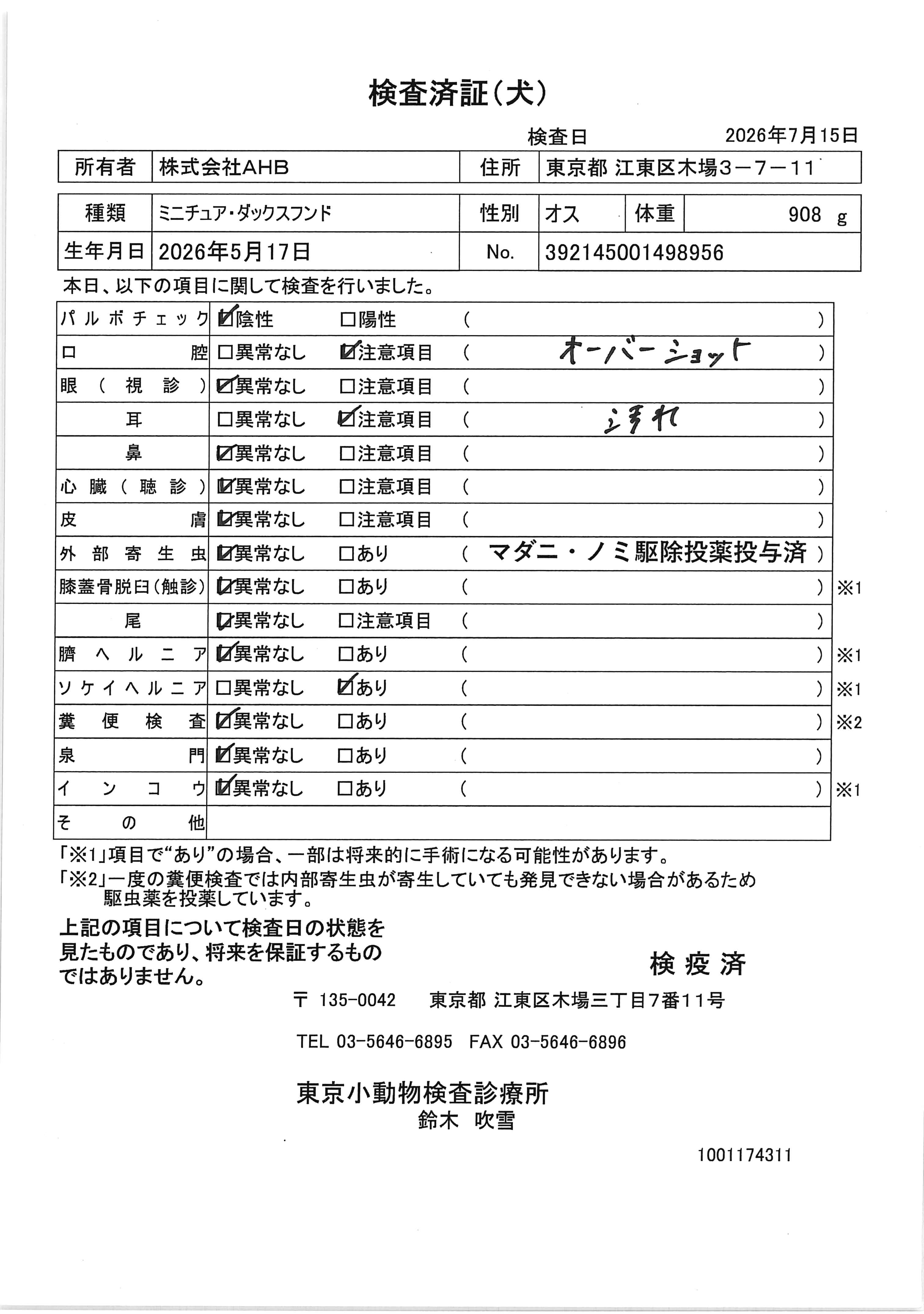 ミニチュア・ダックスフンド