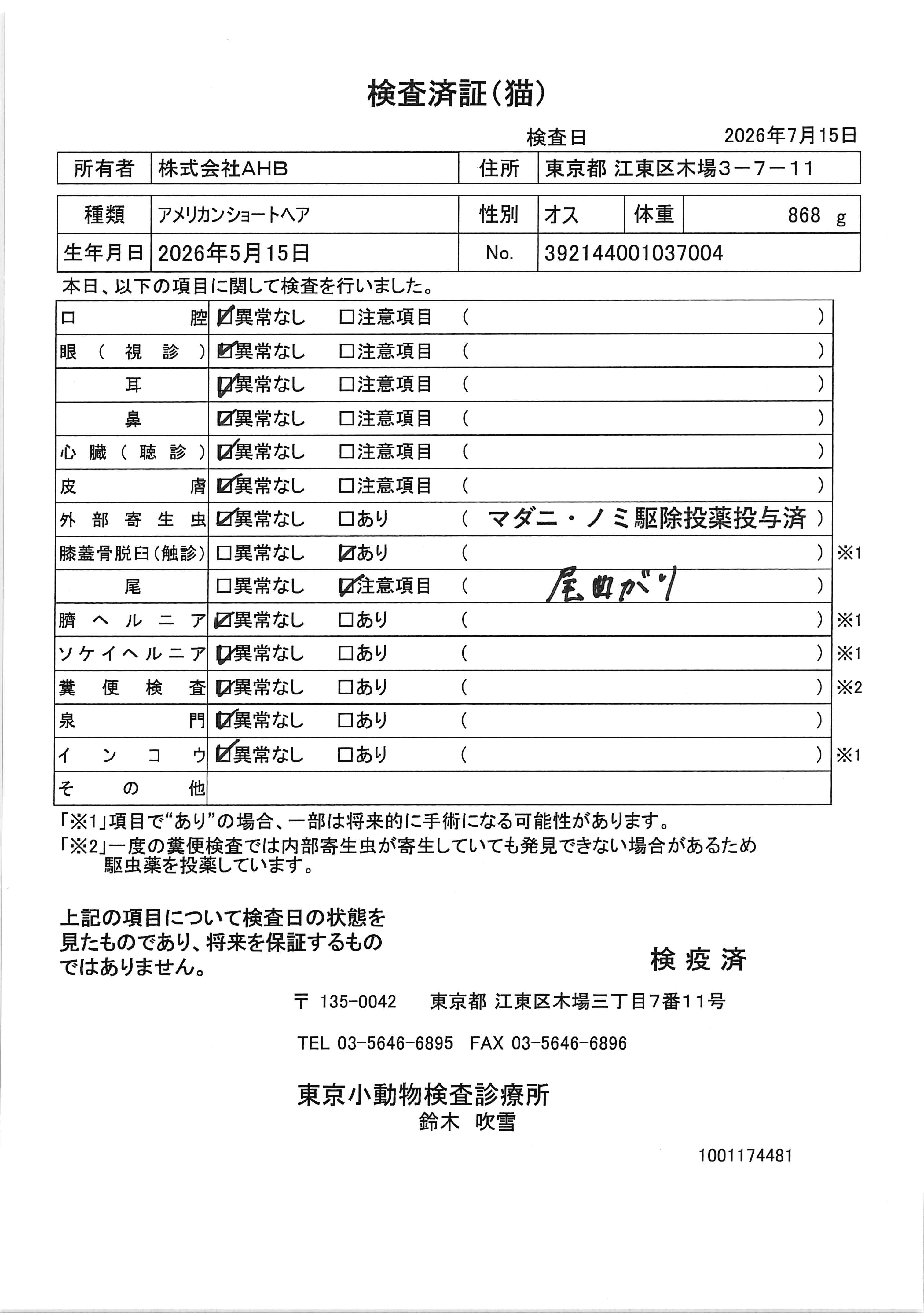アメリカンショートヘア