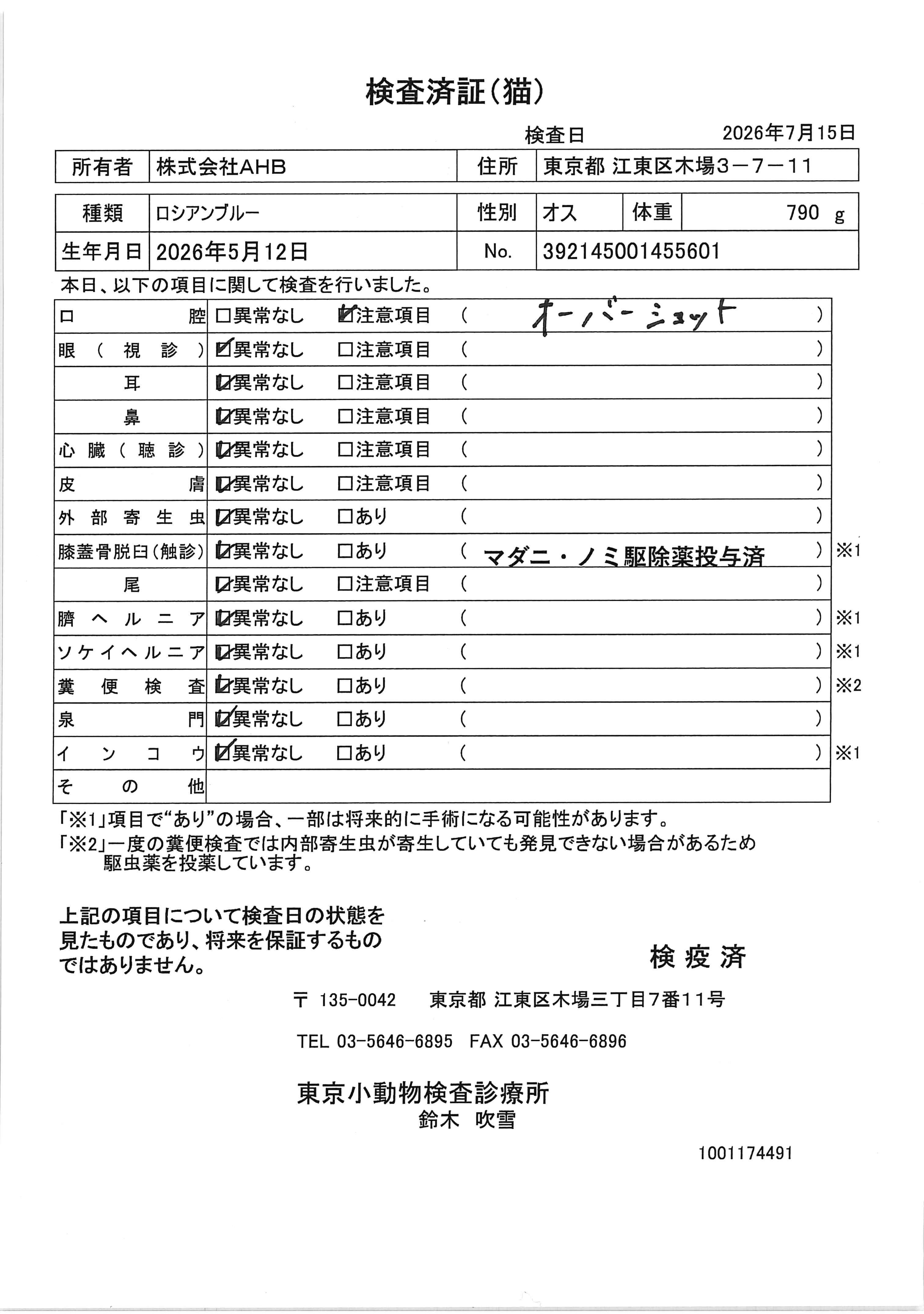 ロシアンブルー
