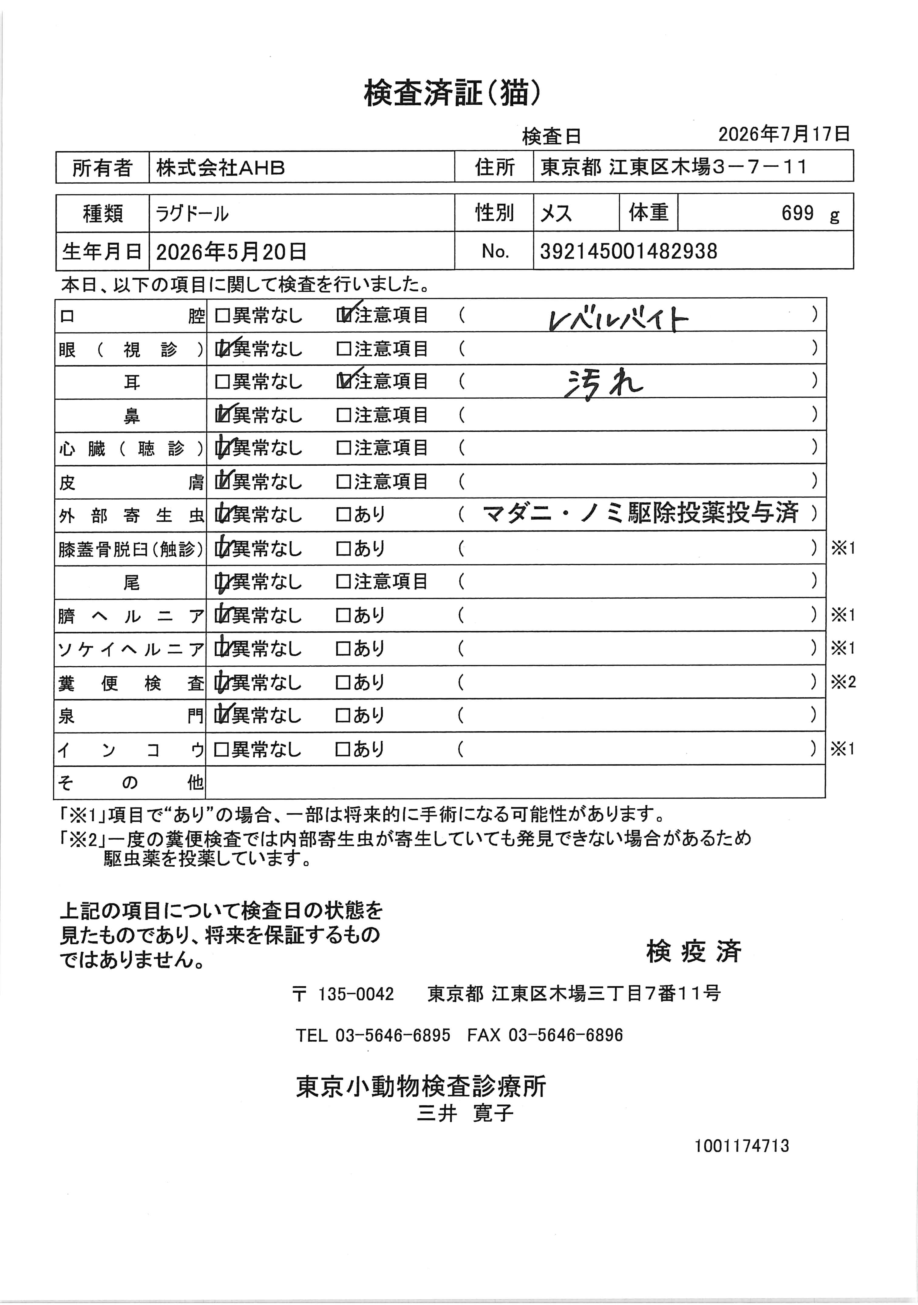 ラグドール