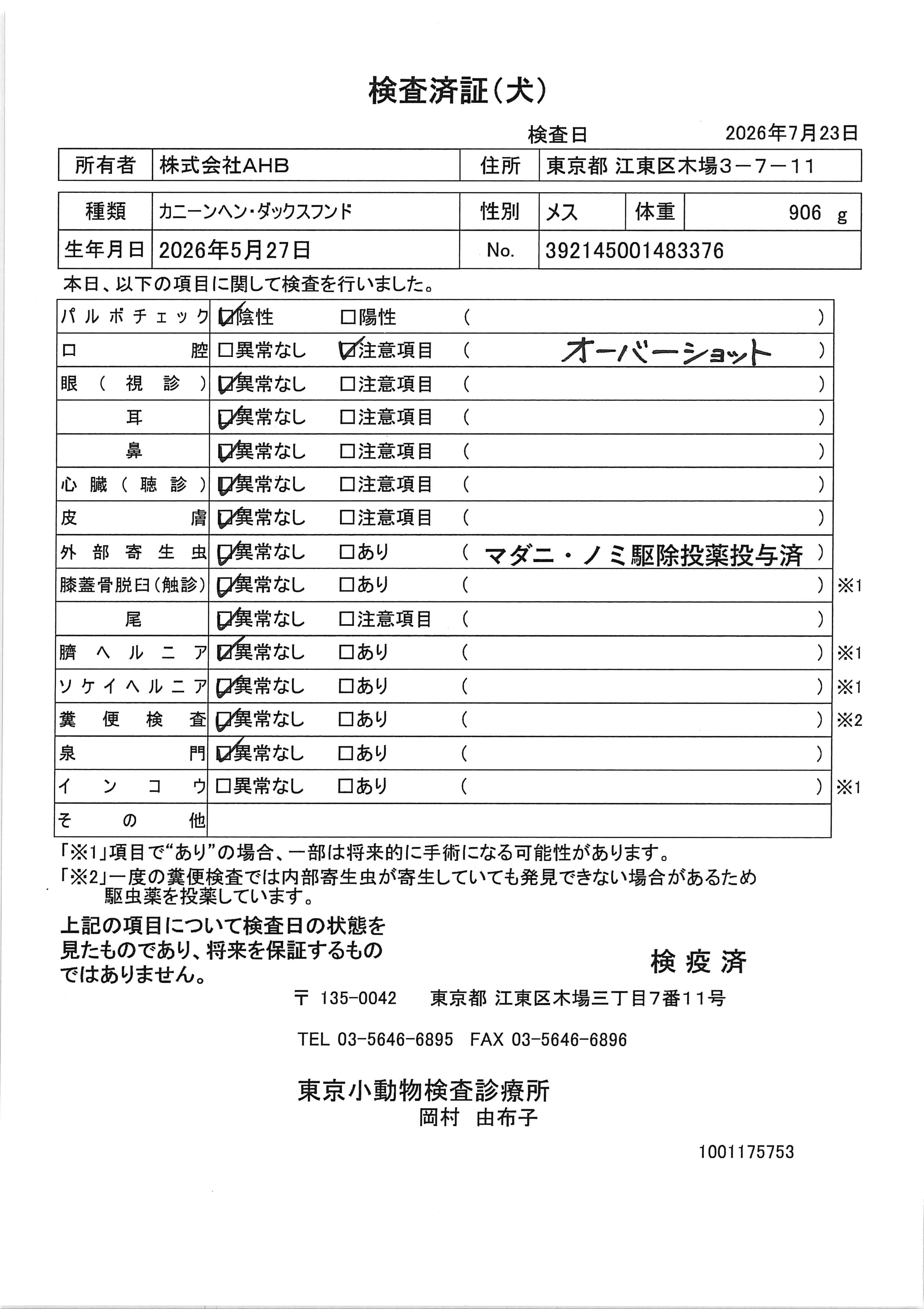 カニーンヘン・ダックスフンド