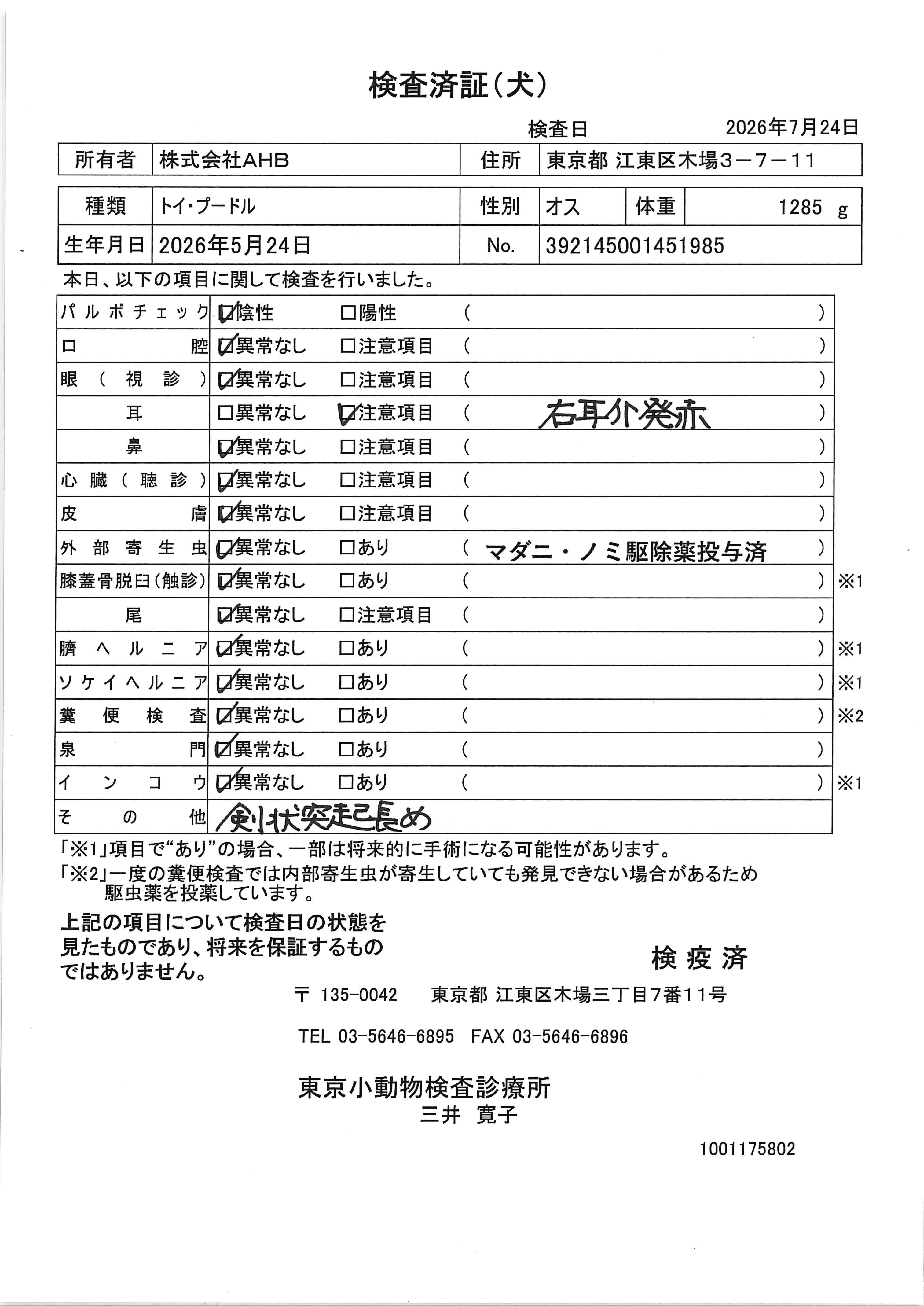 トイ・プードル