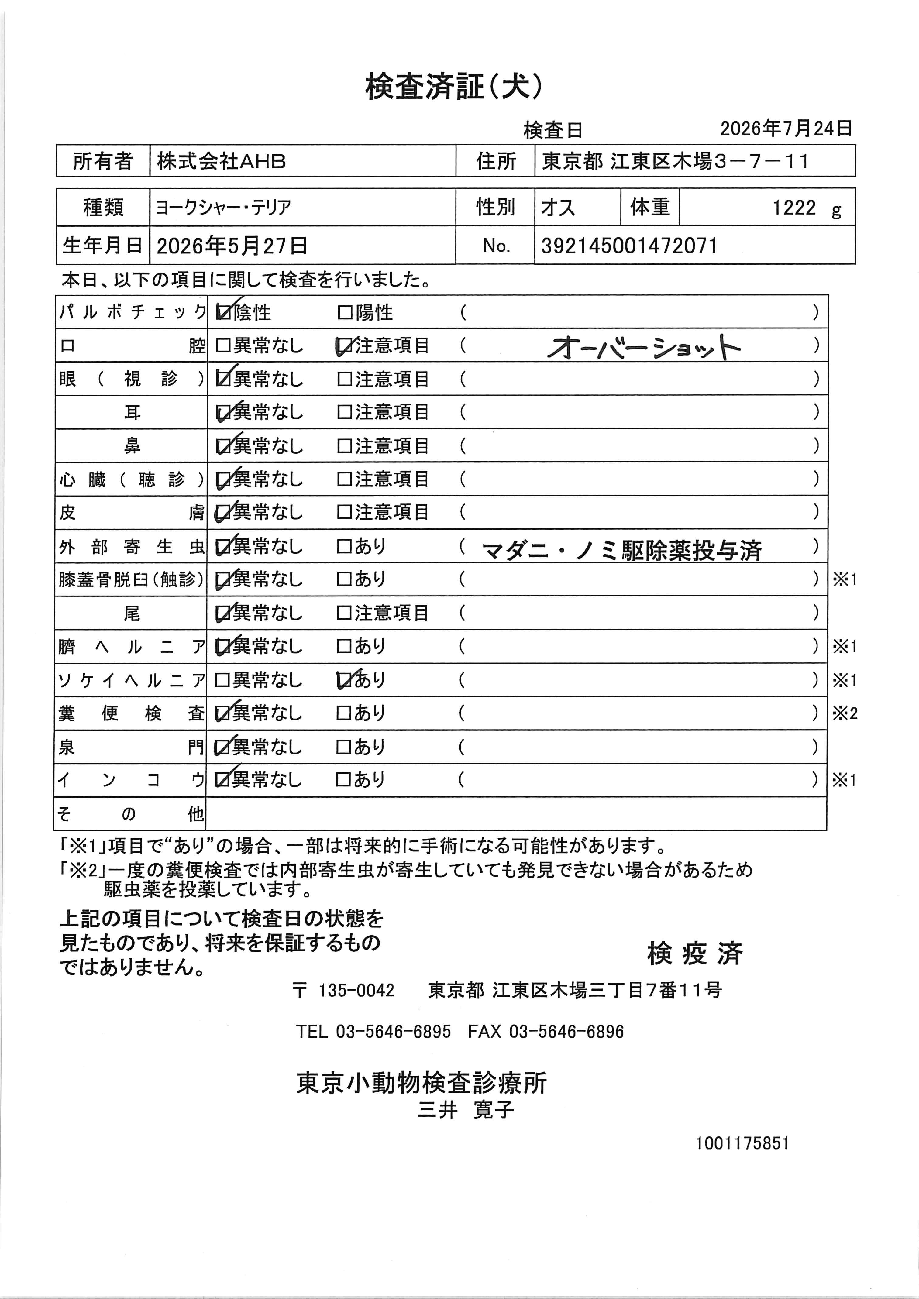 ヨークシャー・テリア
