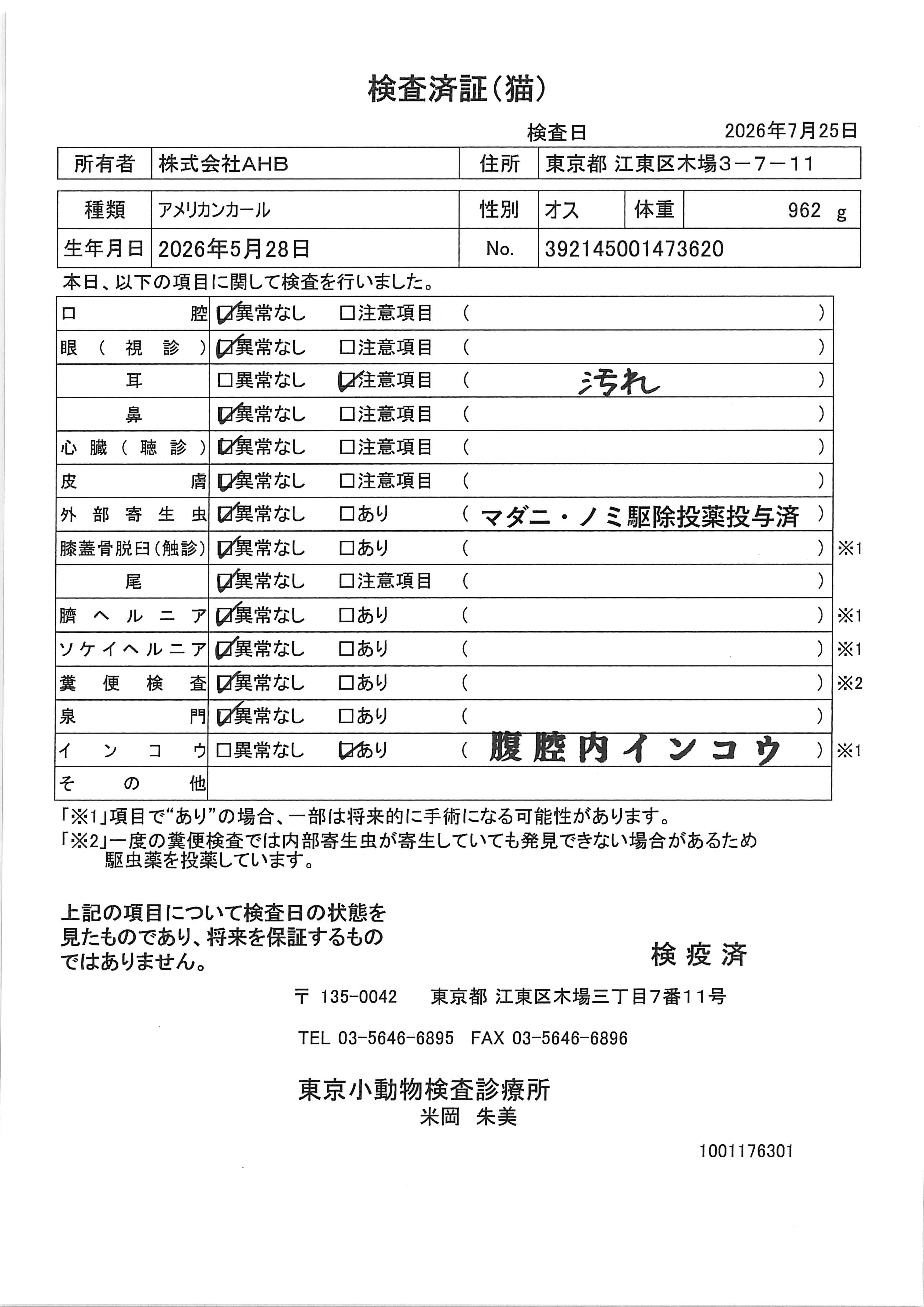アメリカンカール