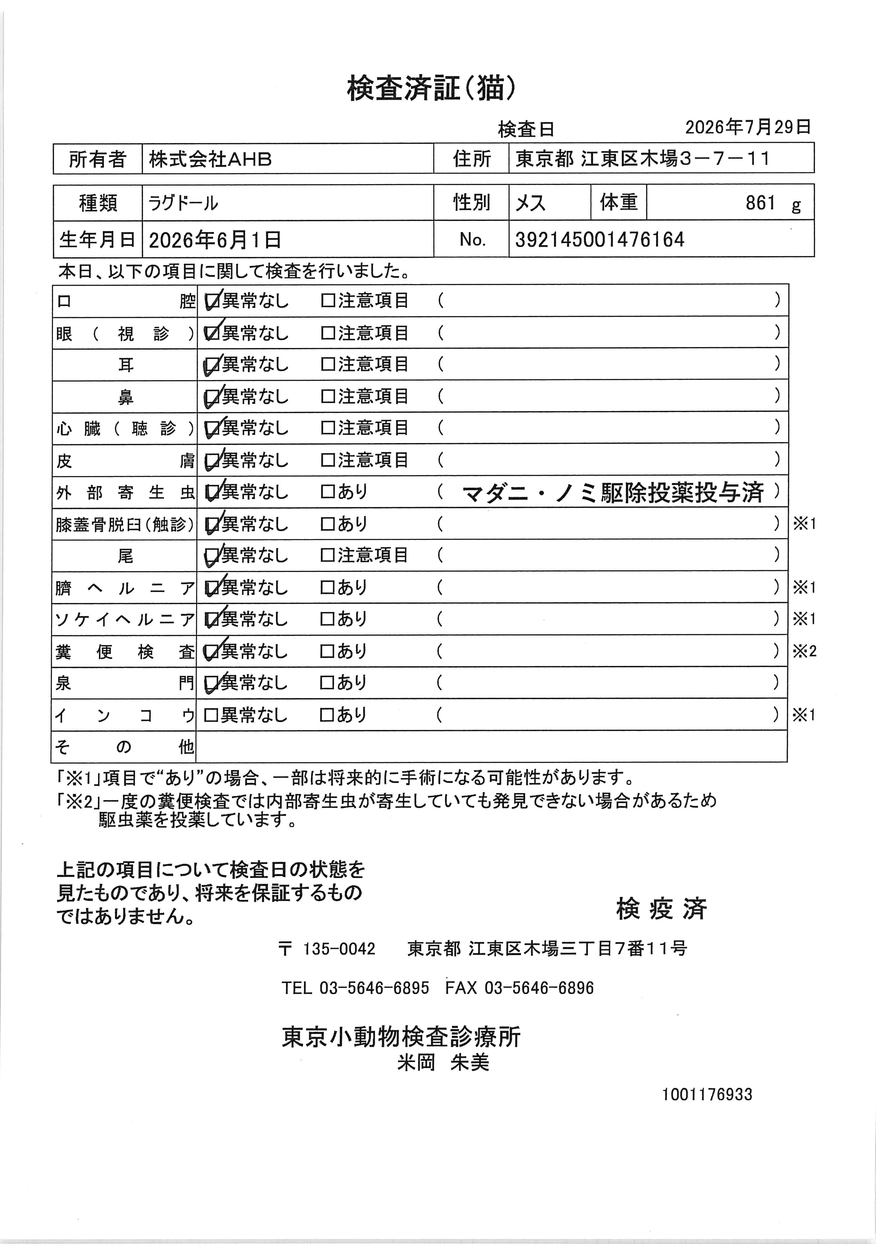 ラグドール