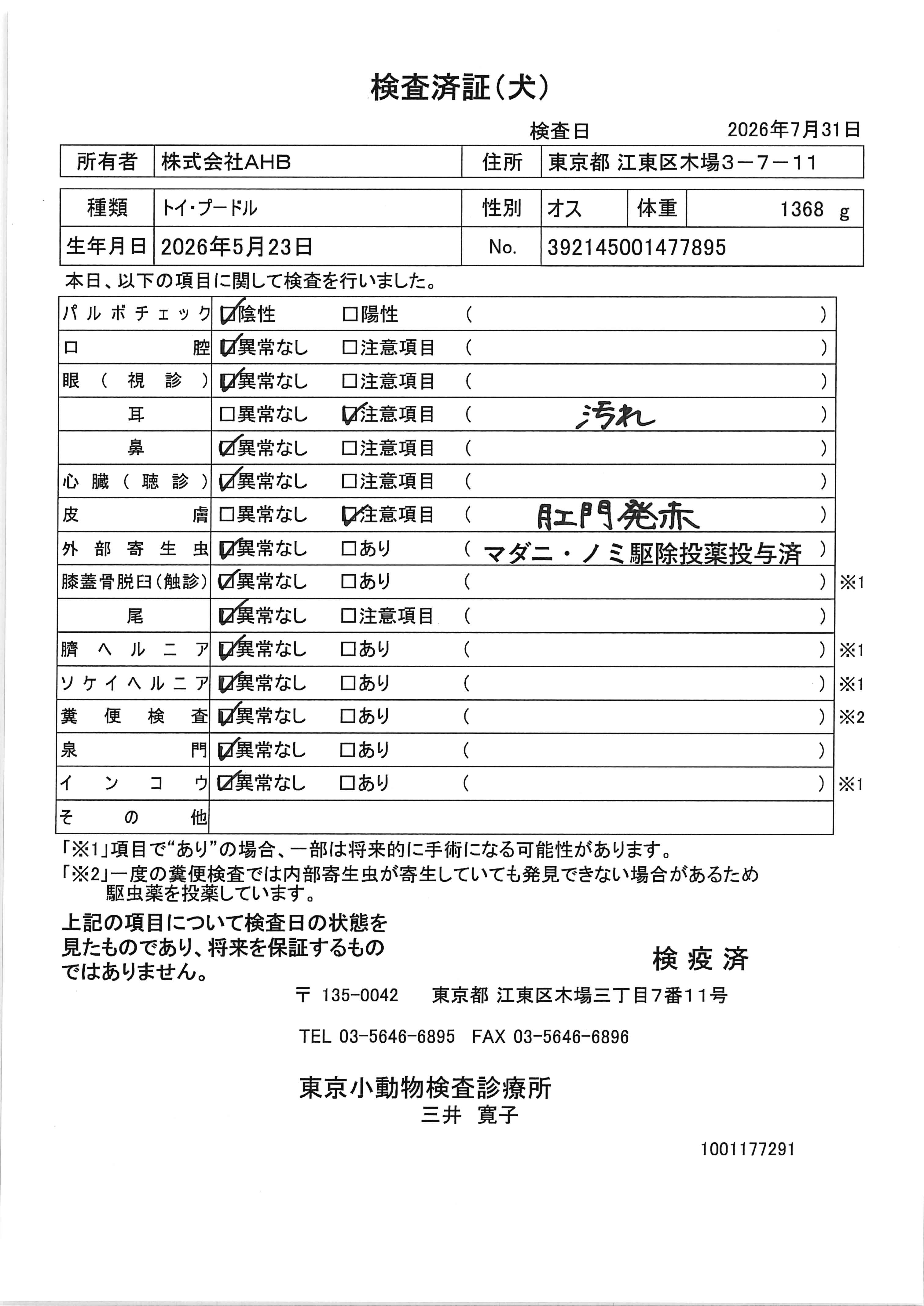 トイ・プードル
