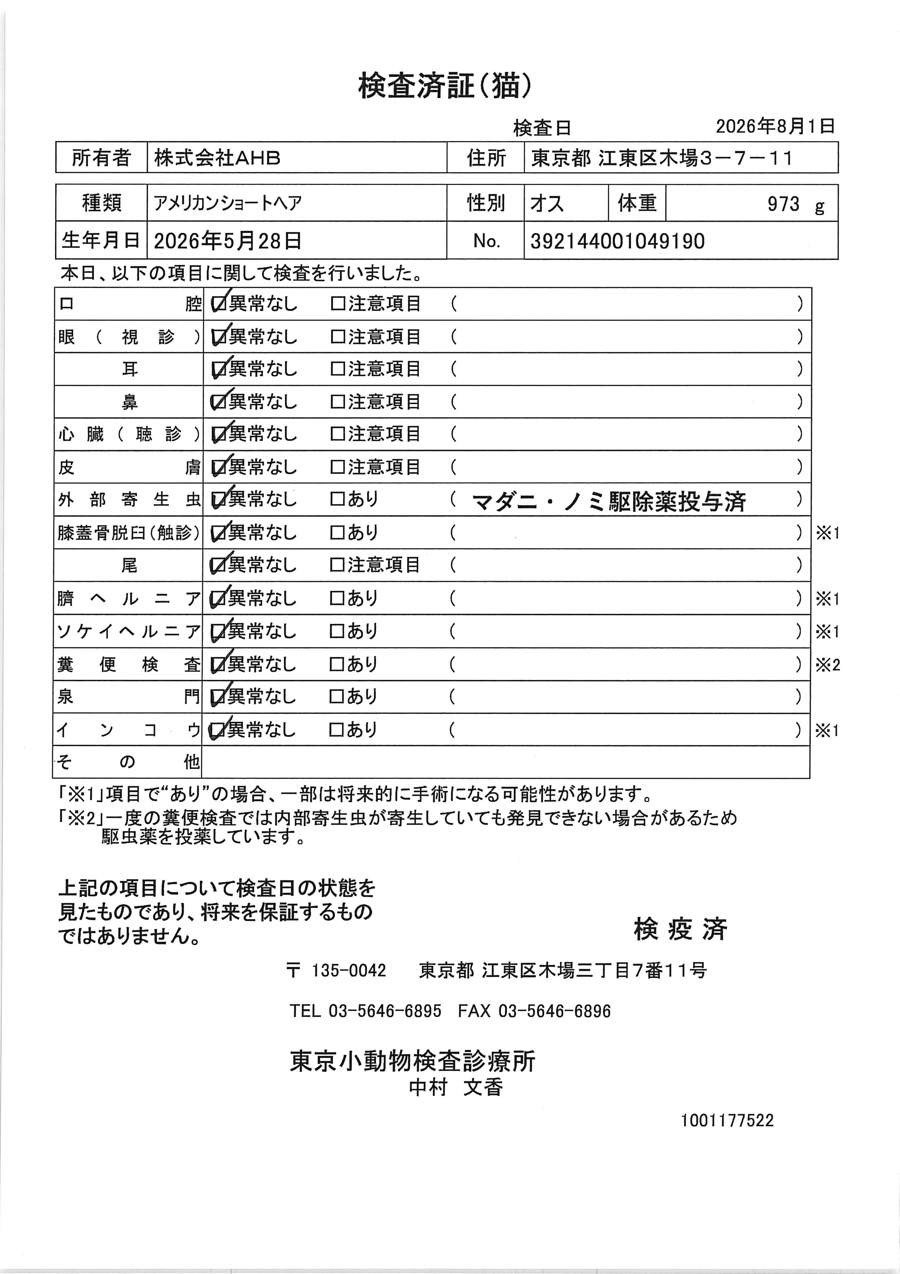 アメリカンショートヘア
