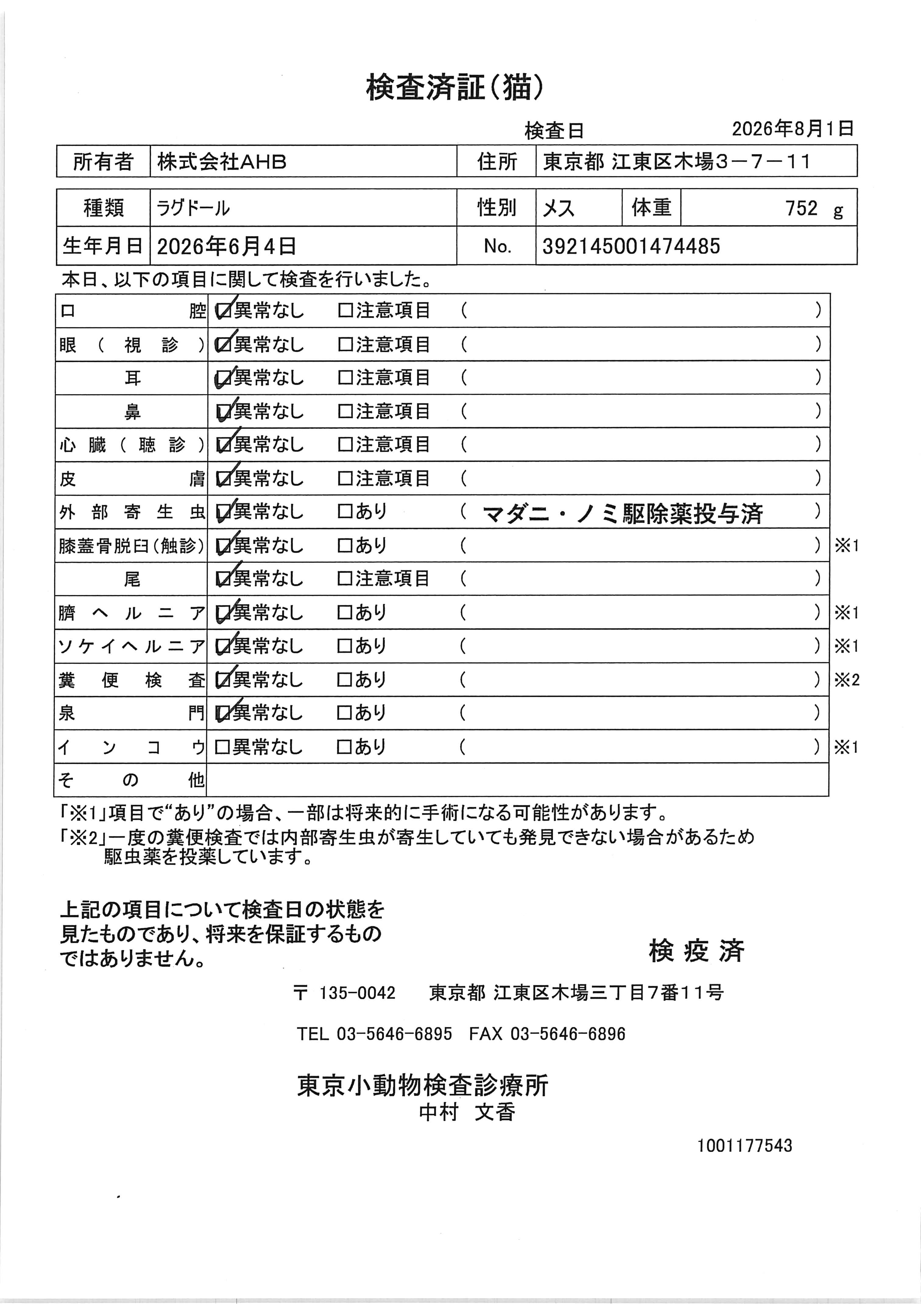 ラグドール