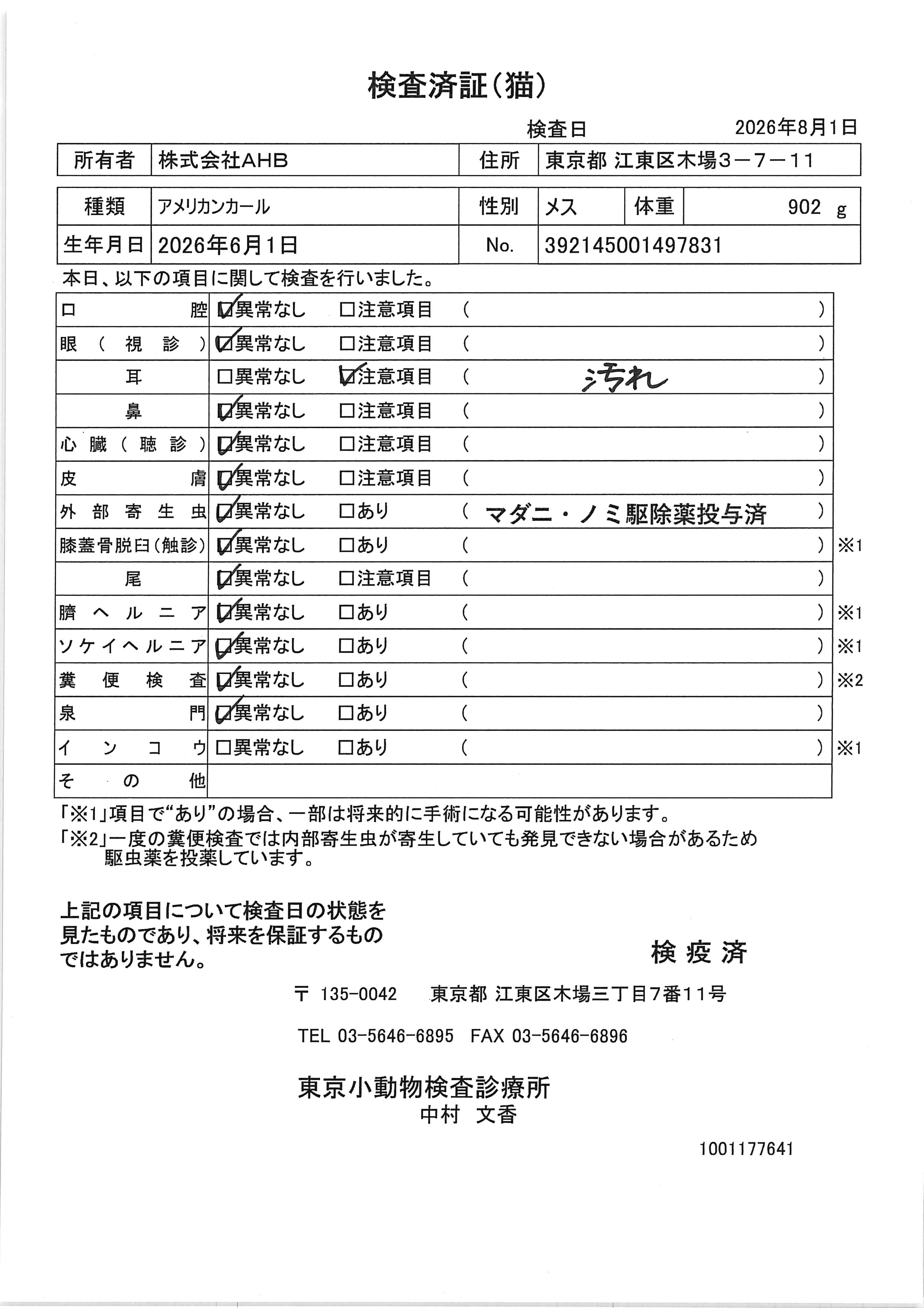 アメリカンカール