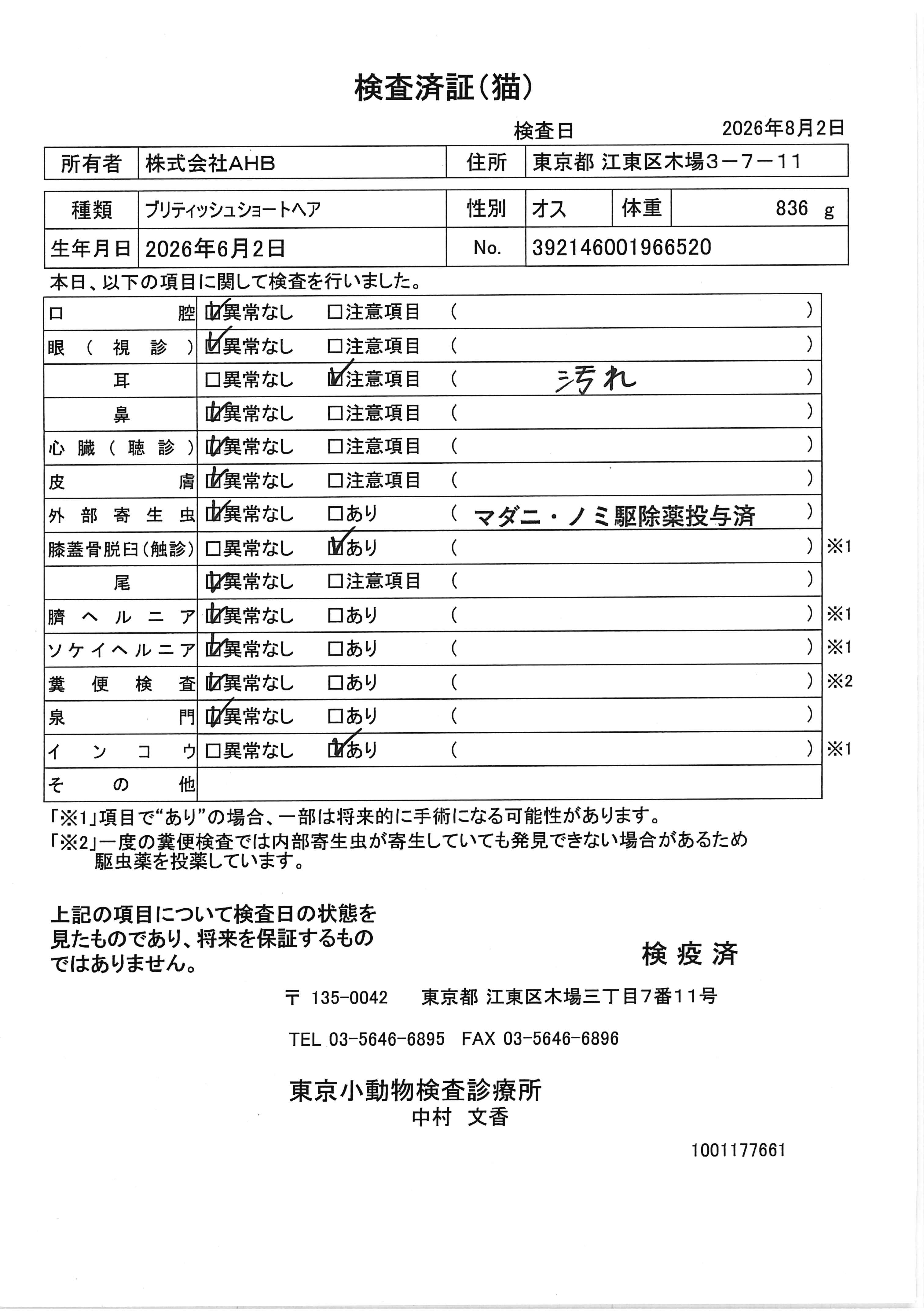ブリティッシュショートヘア