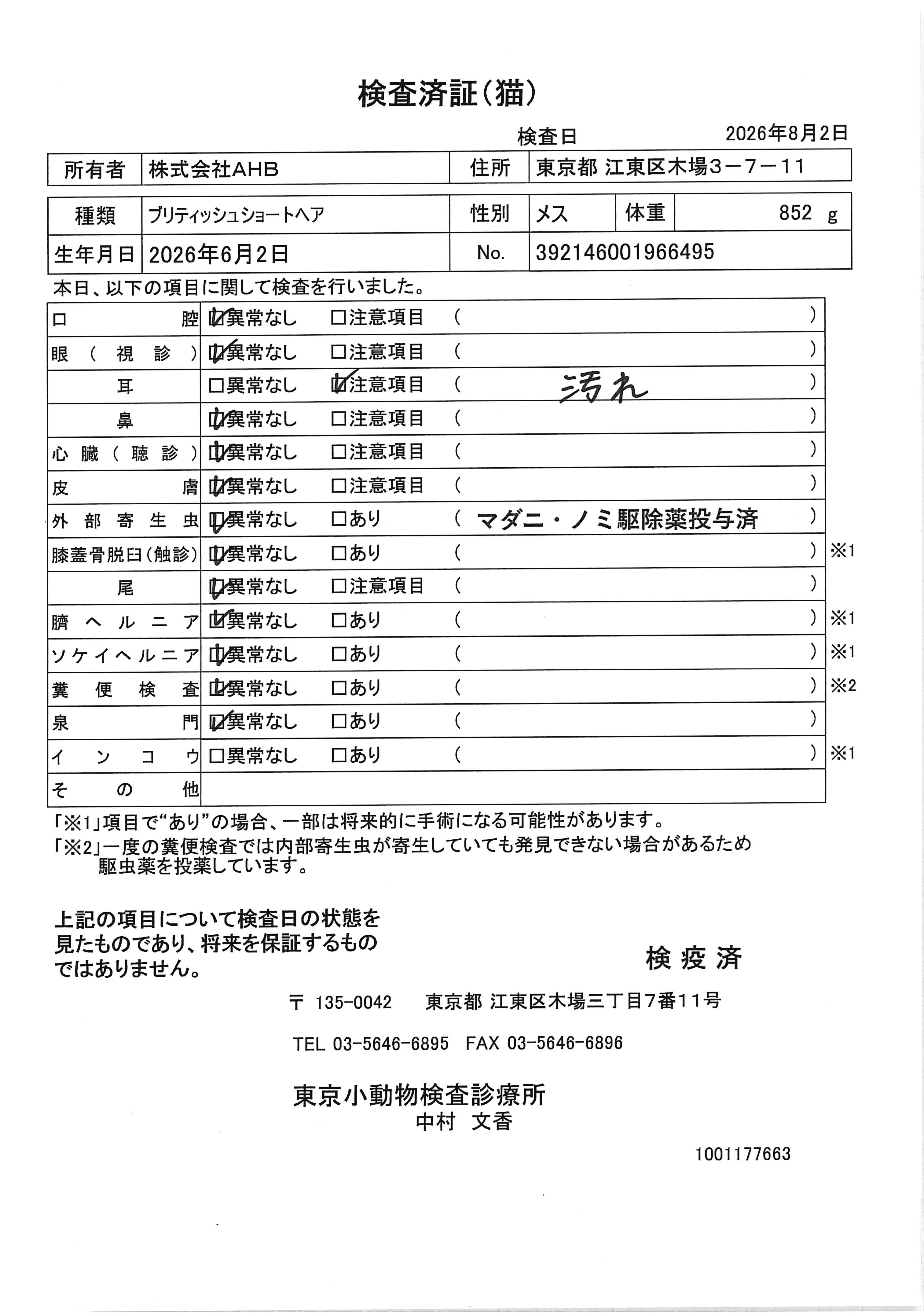 ブリティッシュショートヘア
