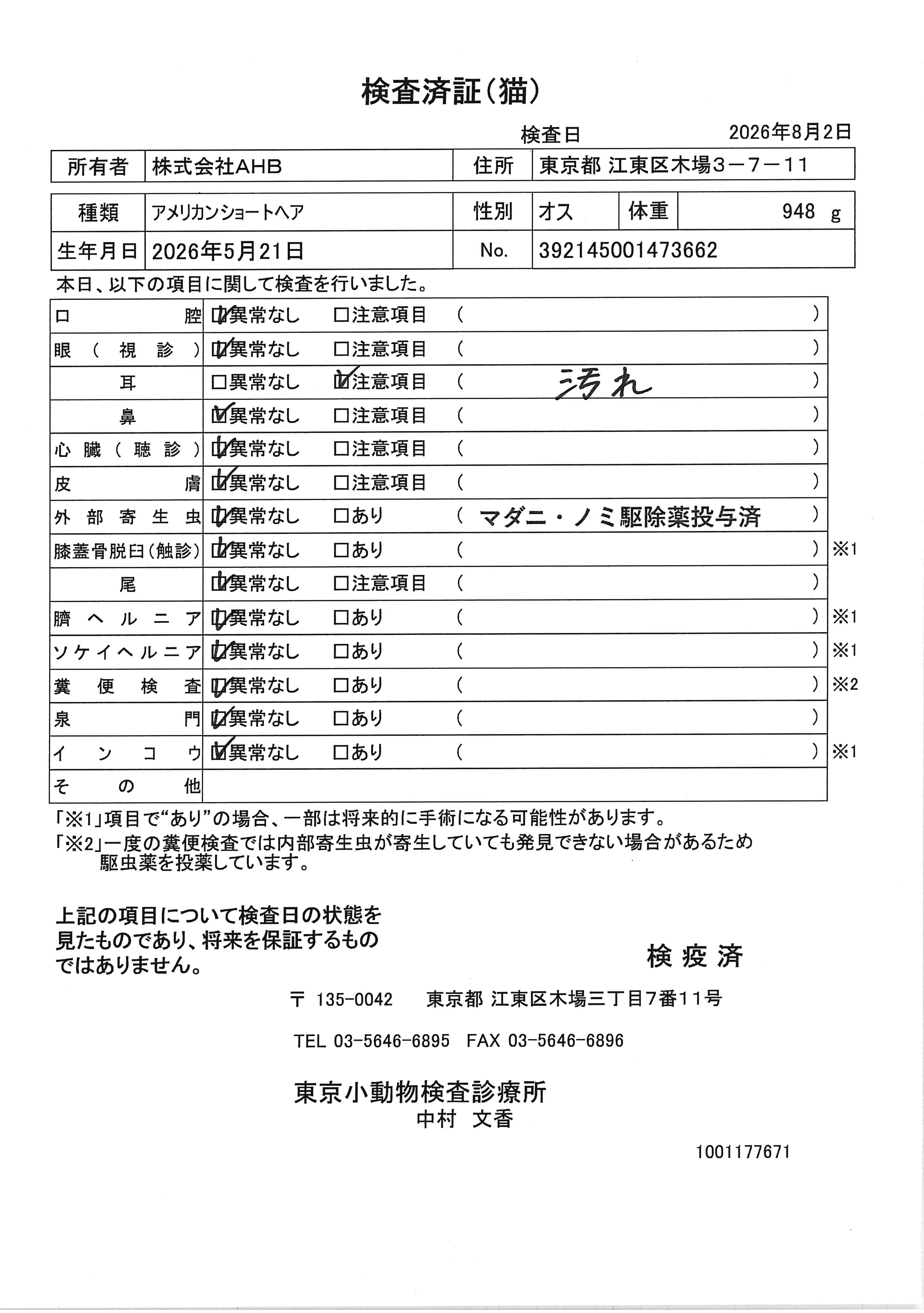 アメリカンショートヘア