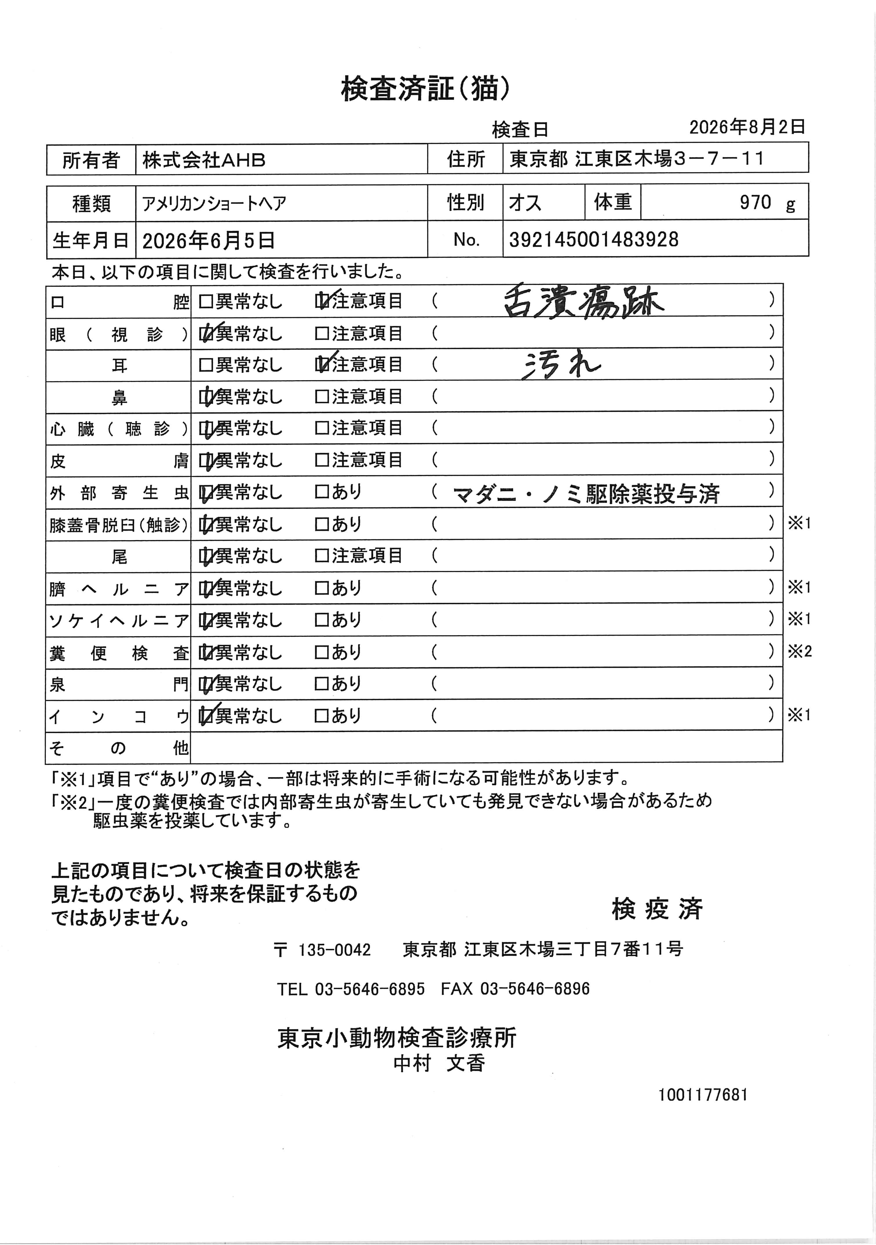 アメリカンショートヘア